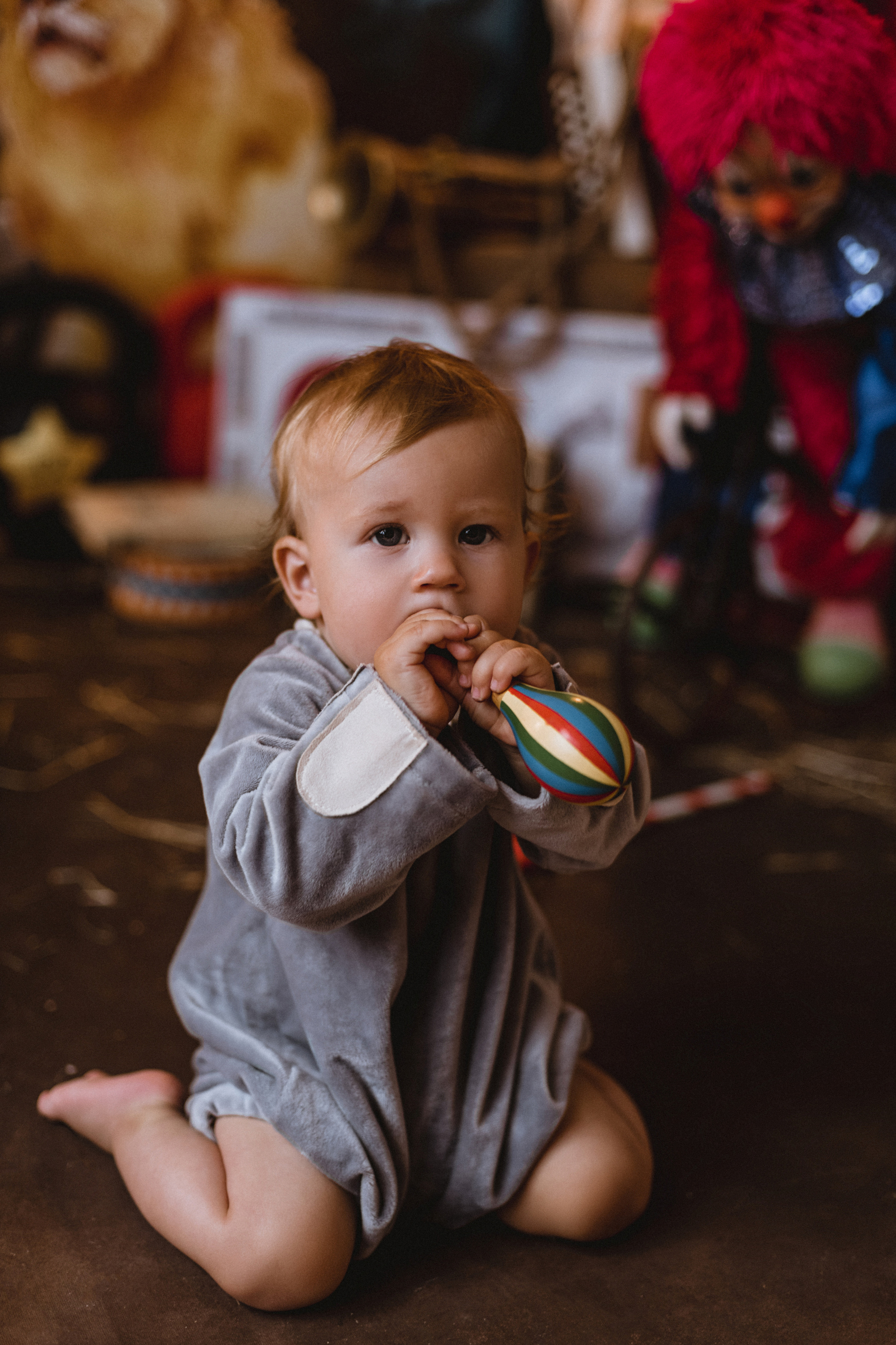 Проект «Цирк»