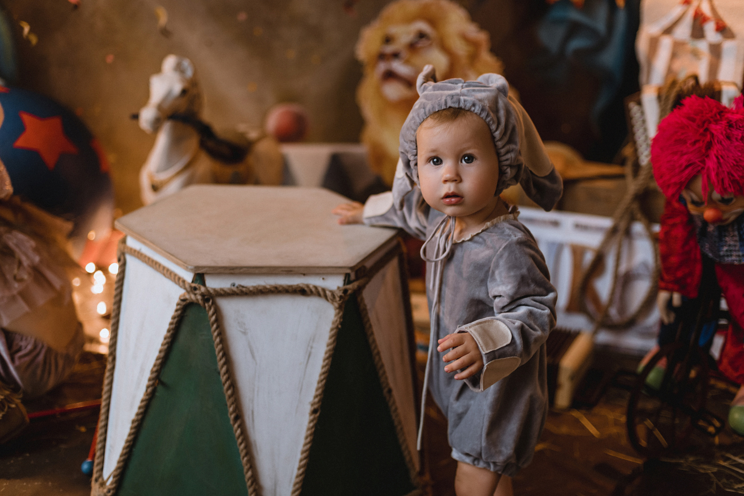 Проект «Цирк»