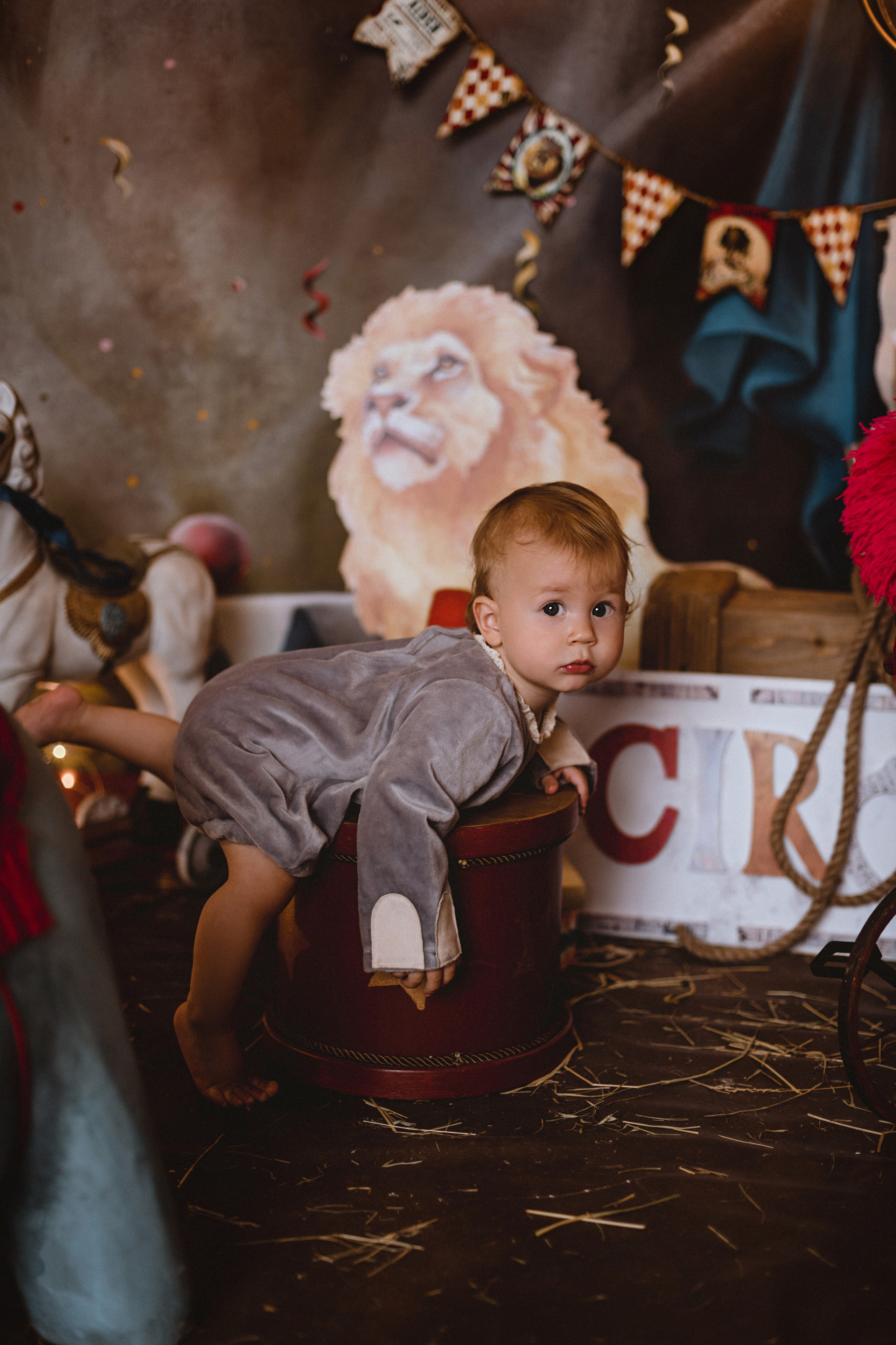 Проект «Цирк»