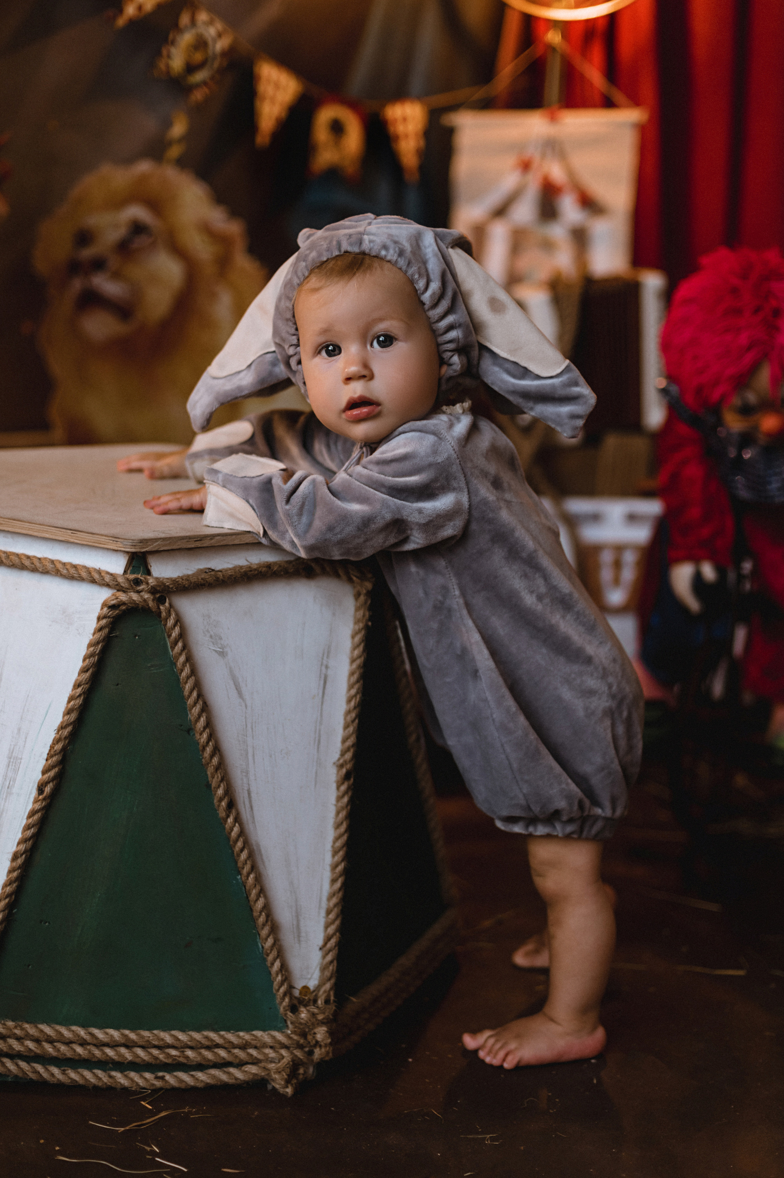 Проект «Цирк»