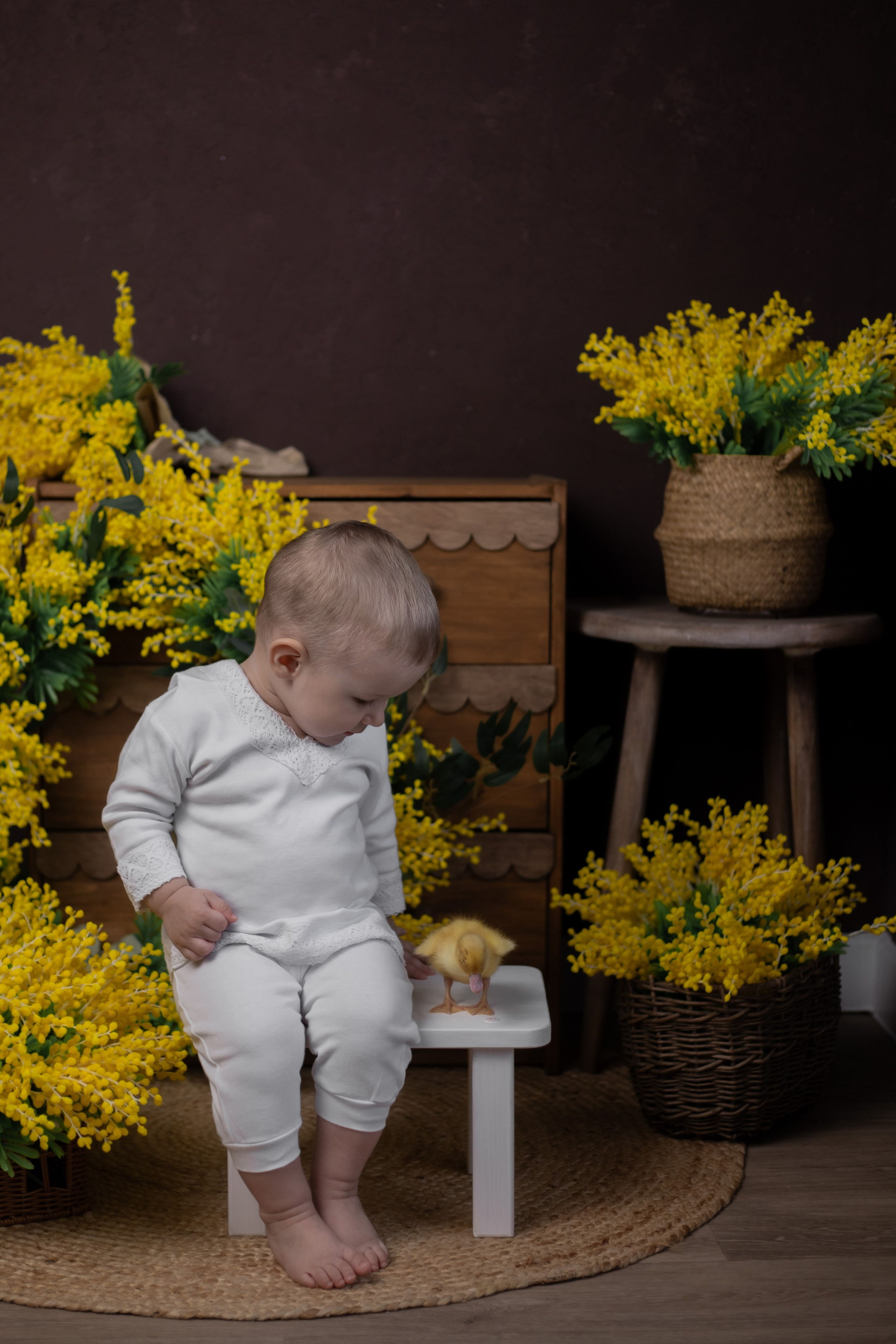 Пасхальный фотопроект. Фотостудия Фонарь