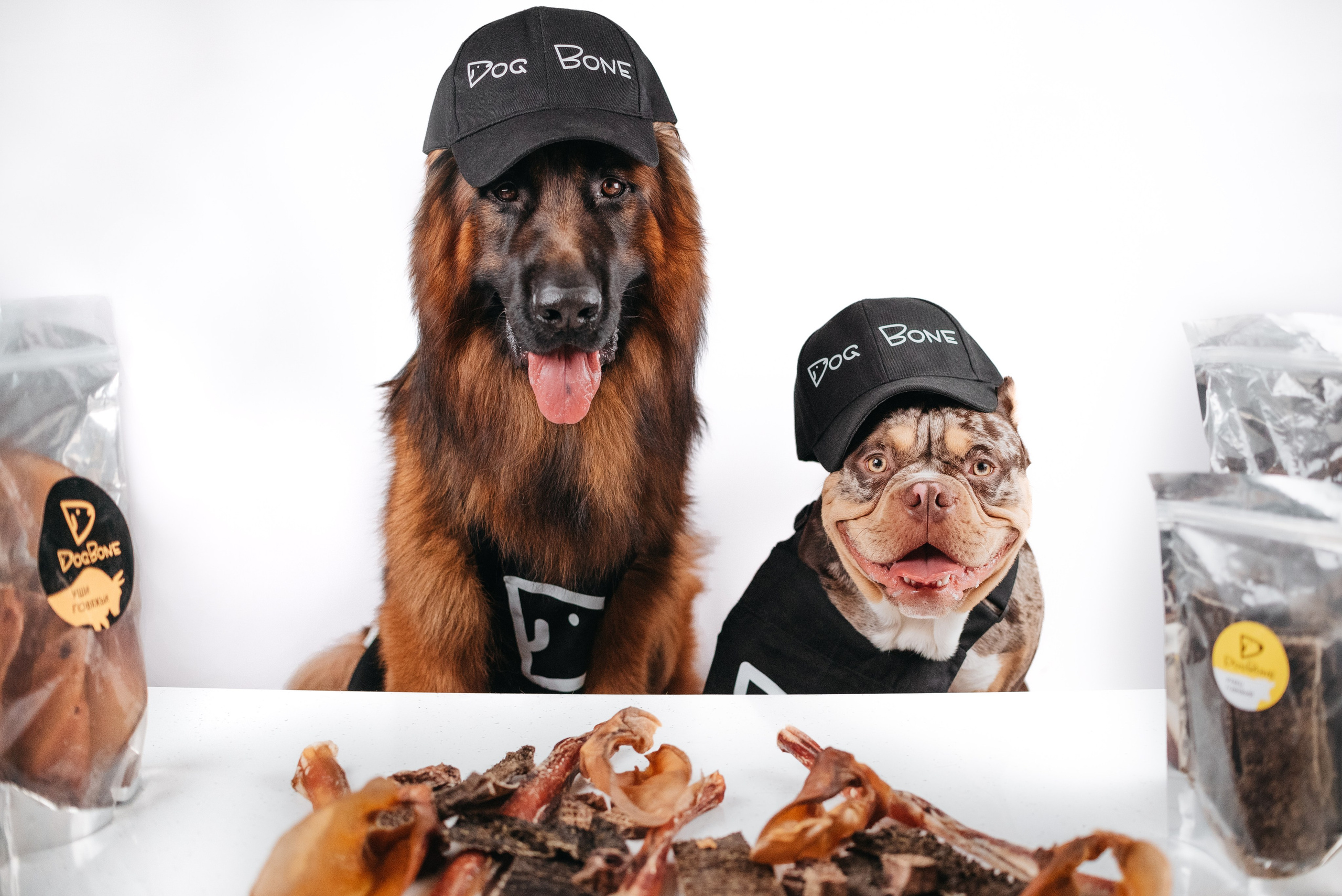 Dog Bone контент. Фотограф-анималист Валерия, Москва, Мытищи