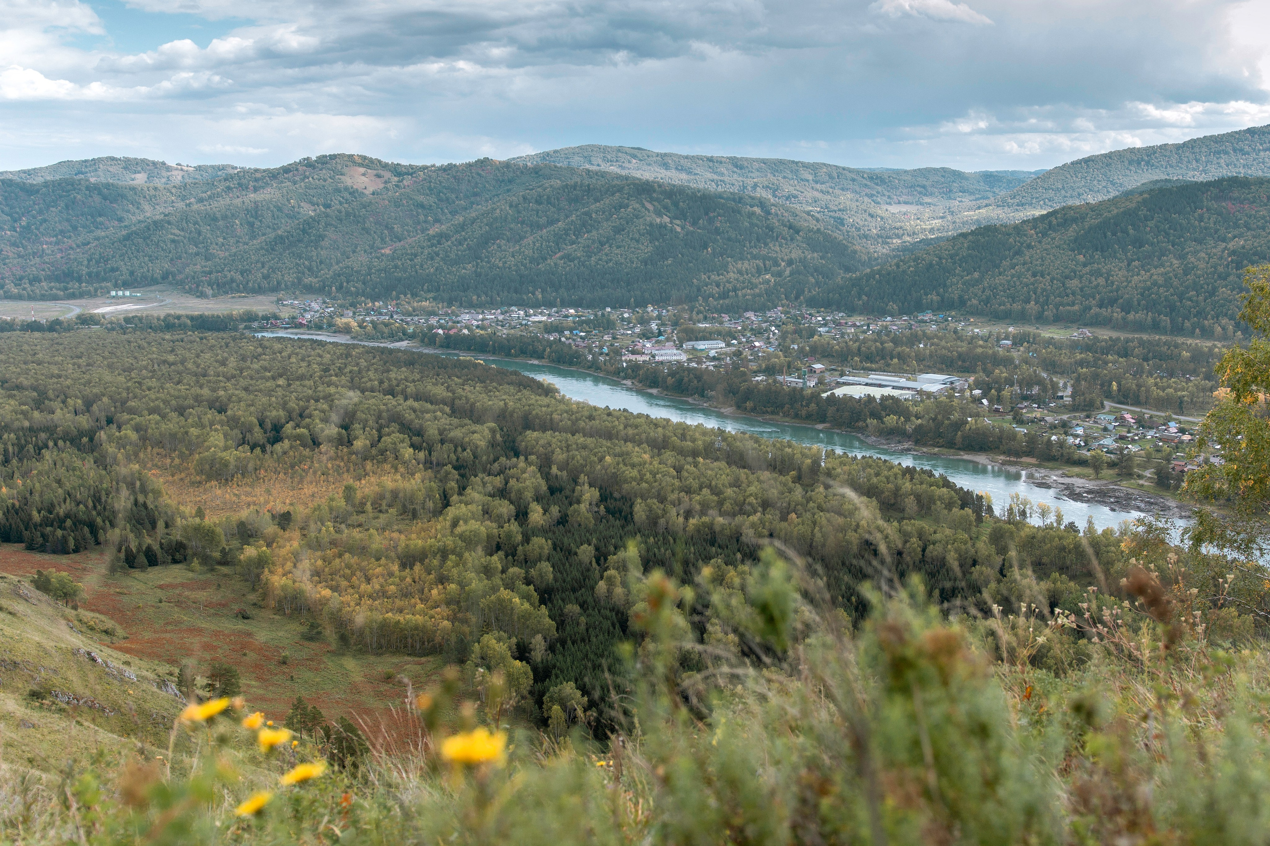 Свадьба2. Главная