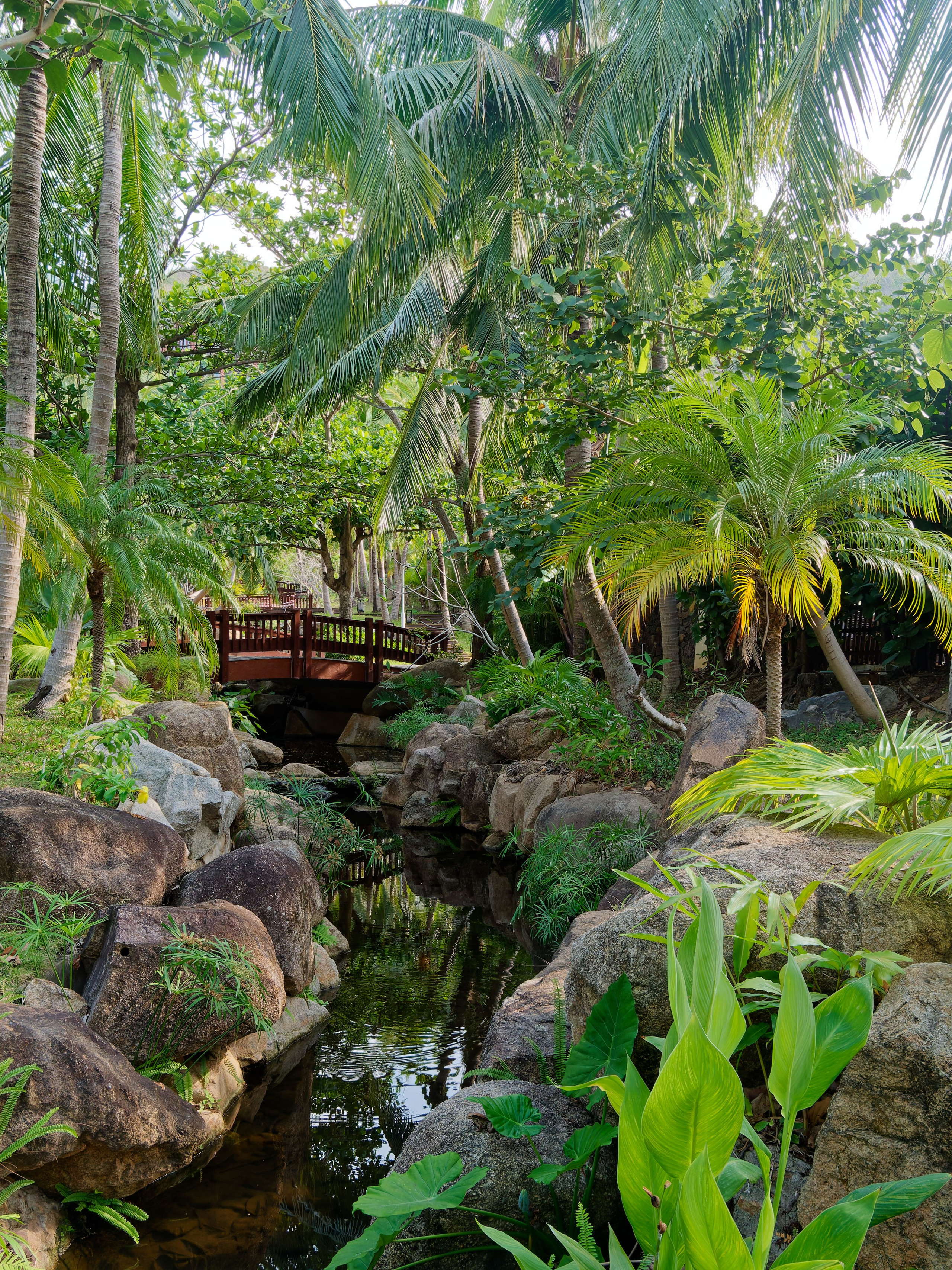 Хайнань 2026, отель «Stony Brook Villa Jianguo Resort Sanya 4*». Фотопрогулки по Миру