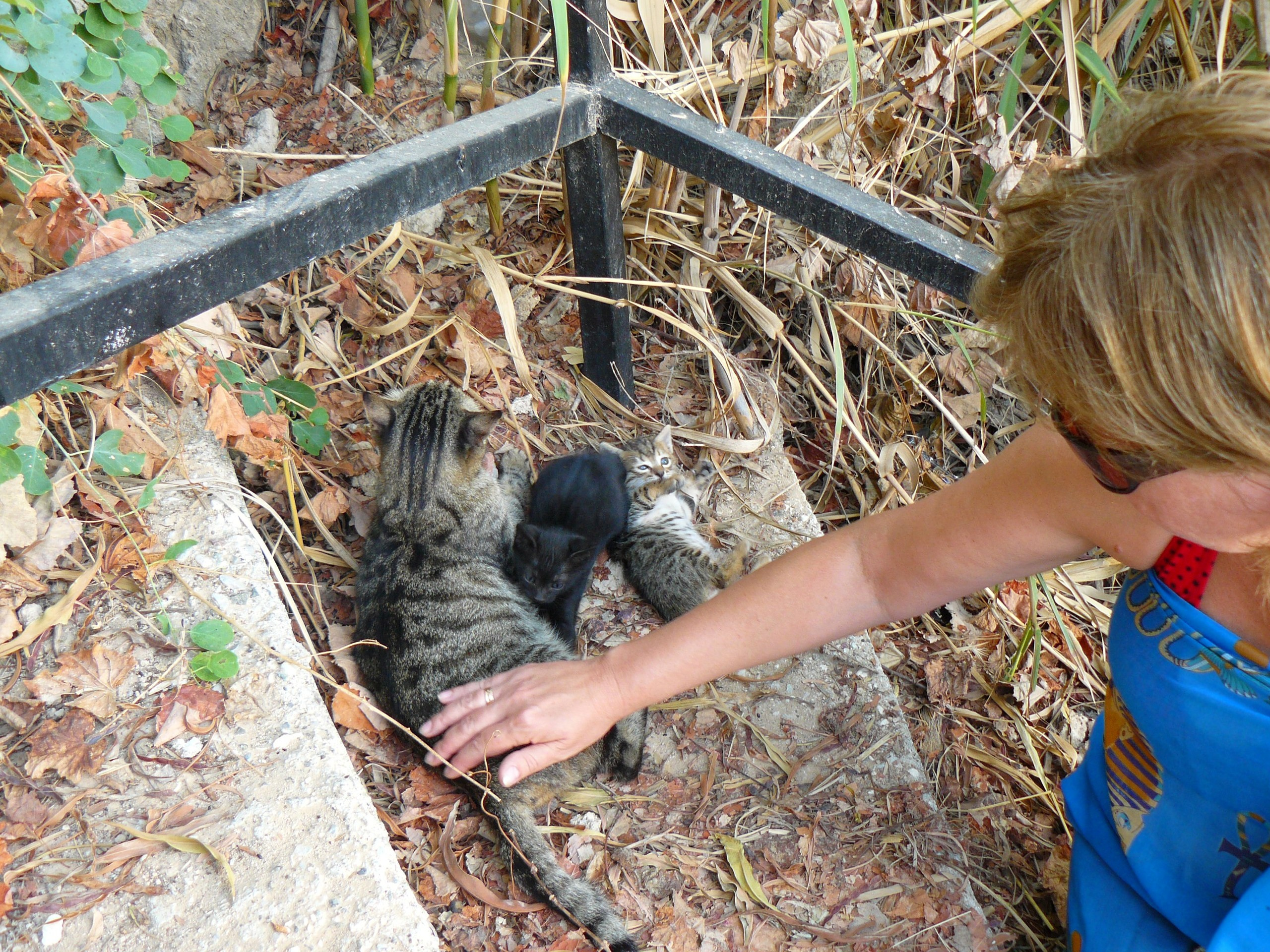 Анталия 2010. Фотопрогулки по Миру