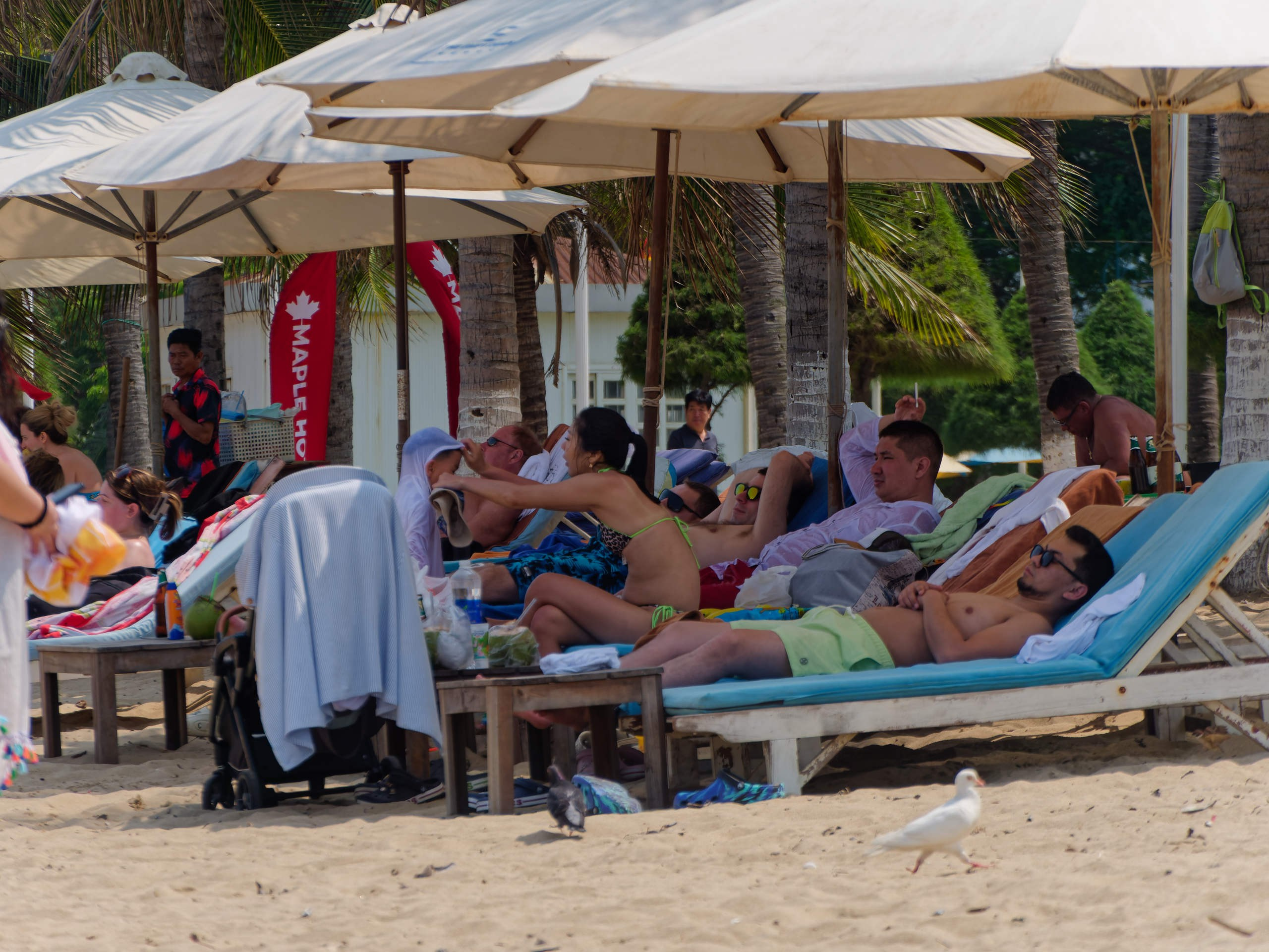 Нячанг 2025 (8). Избранные фотографии