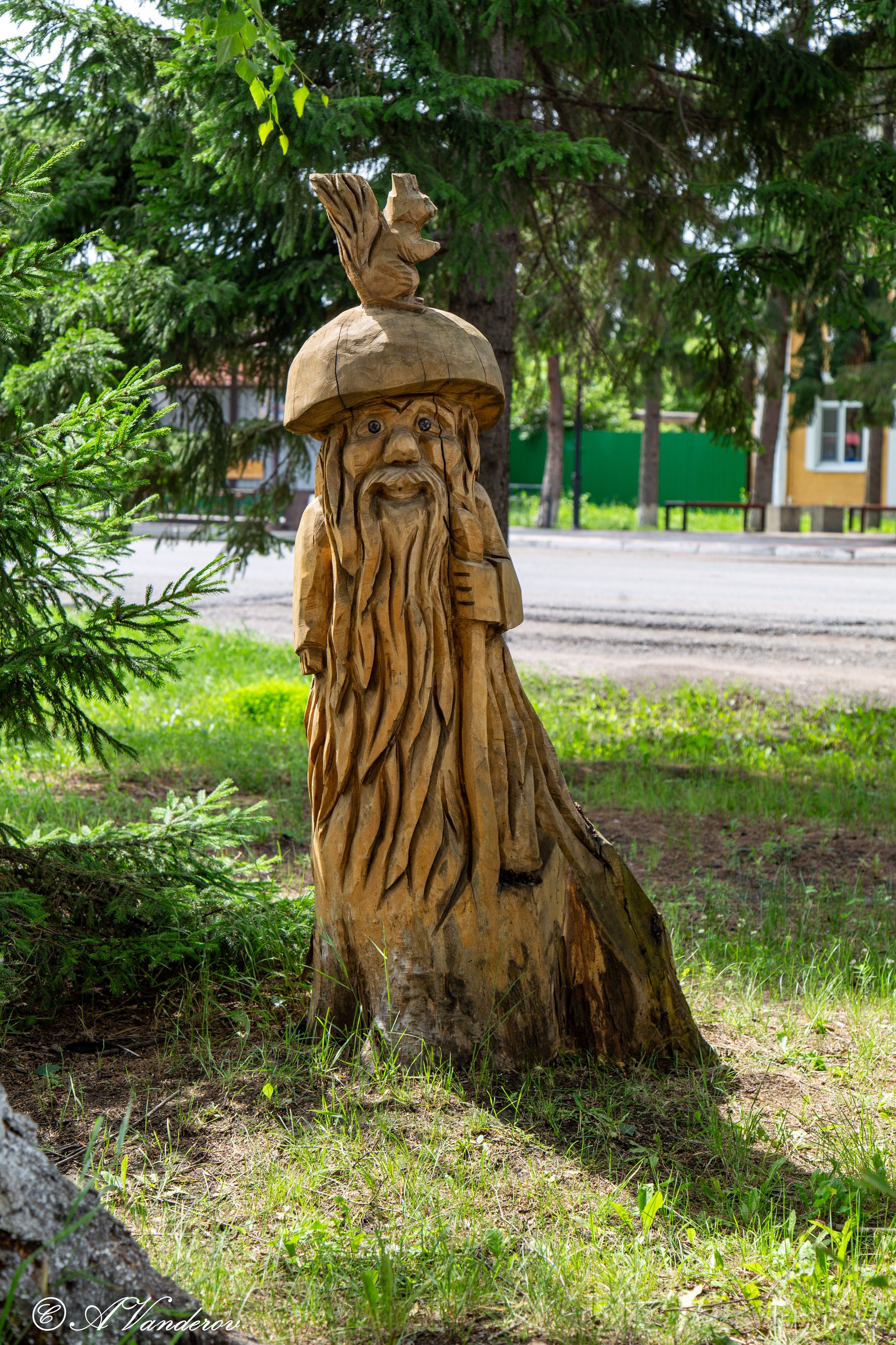 Калачинск 07.07.2024. Фотограф Омск | Александр Вандеров