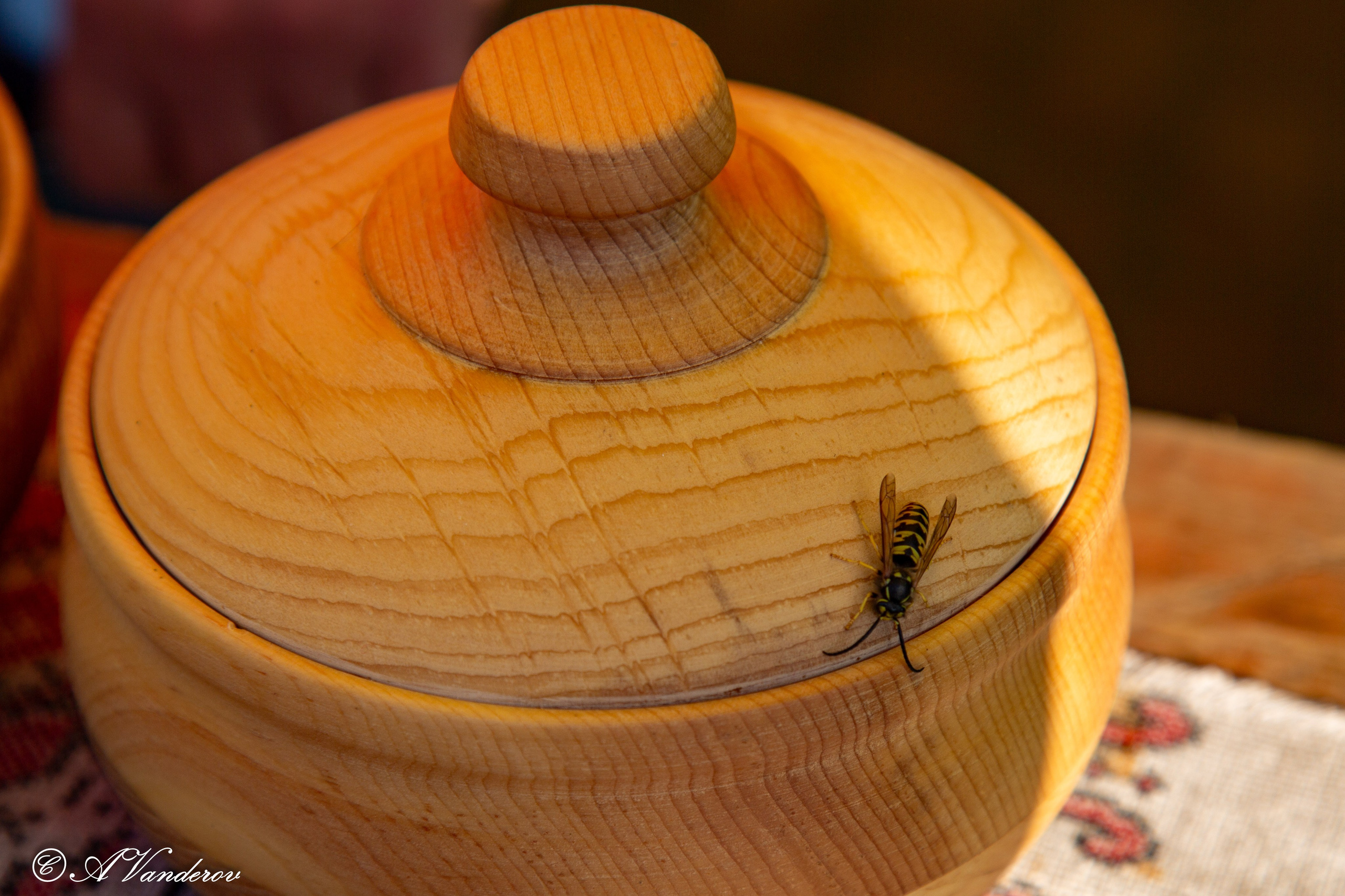 Осенины — 28.09.2024. Фотограф Омск | Александр Вандеров