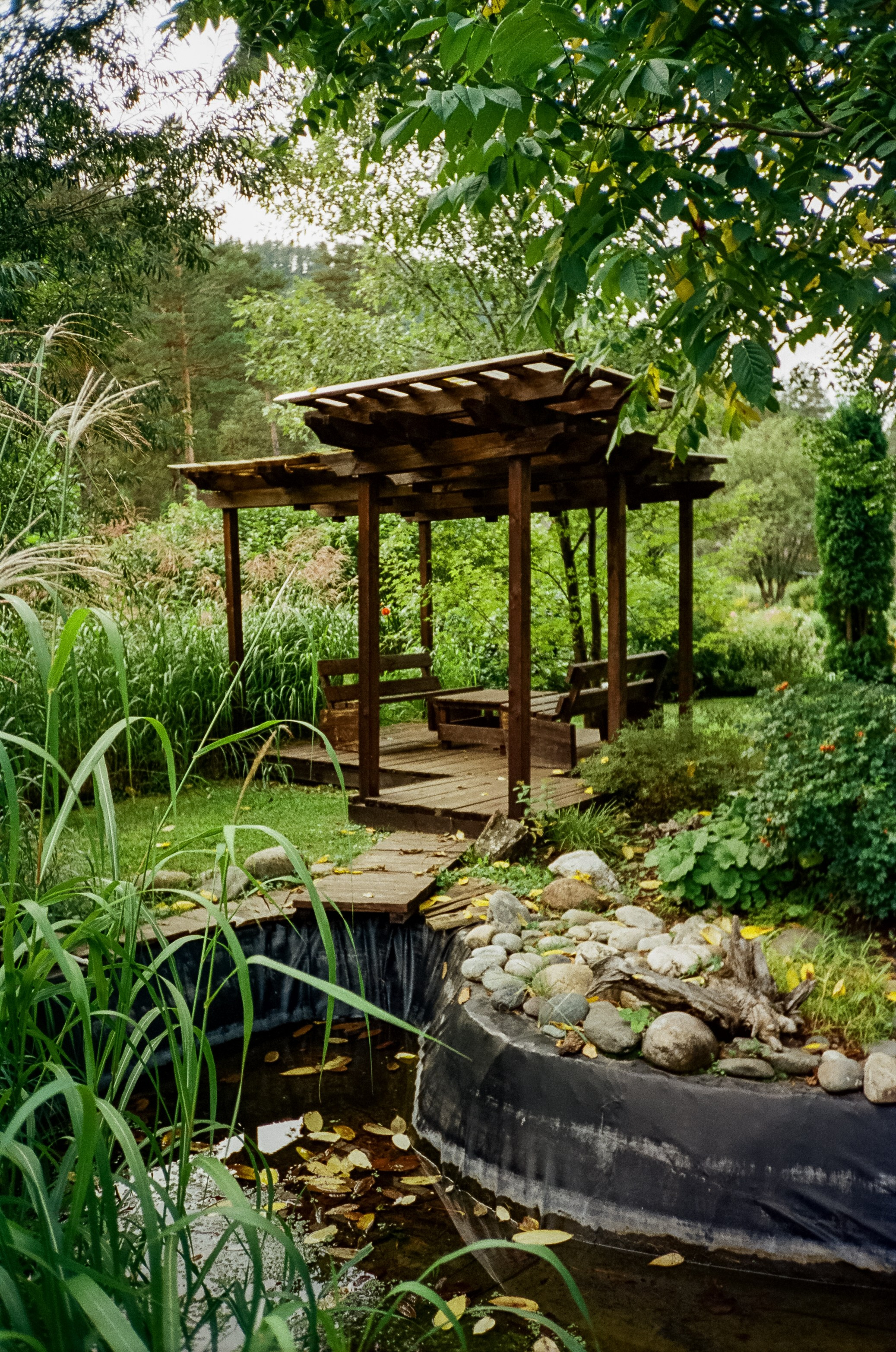 Ботанический сад и река Сема. Фотограф-документалист Мария Осокина