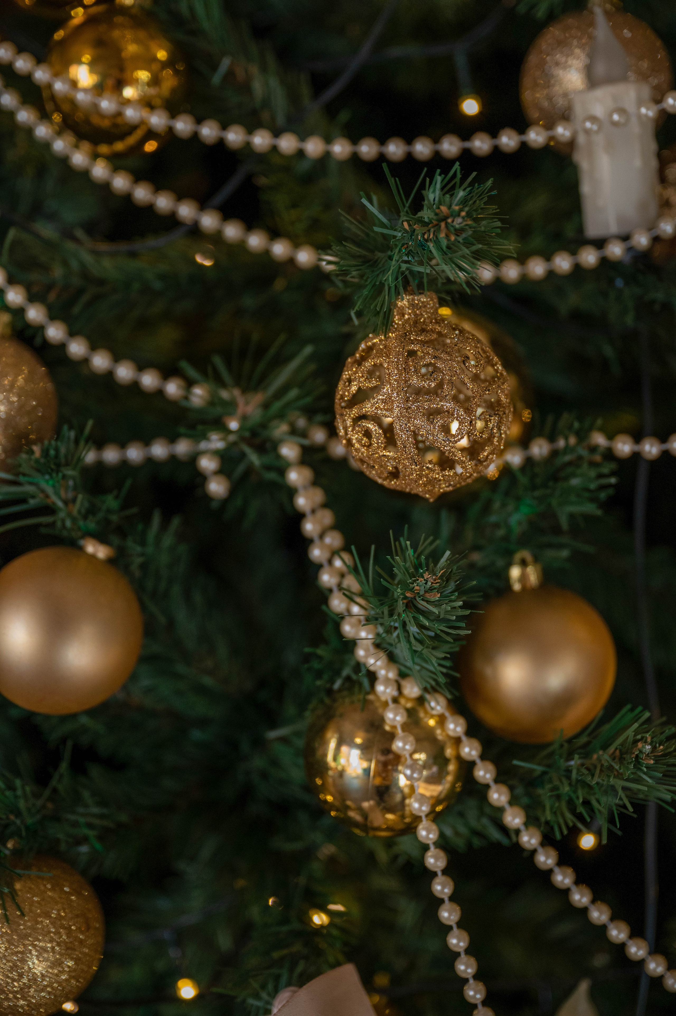 Новый год девушка. Семейный и контент фотограф в Москве Alira