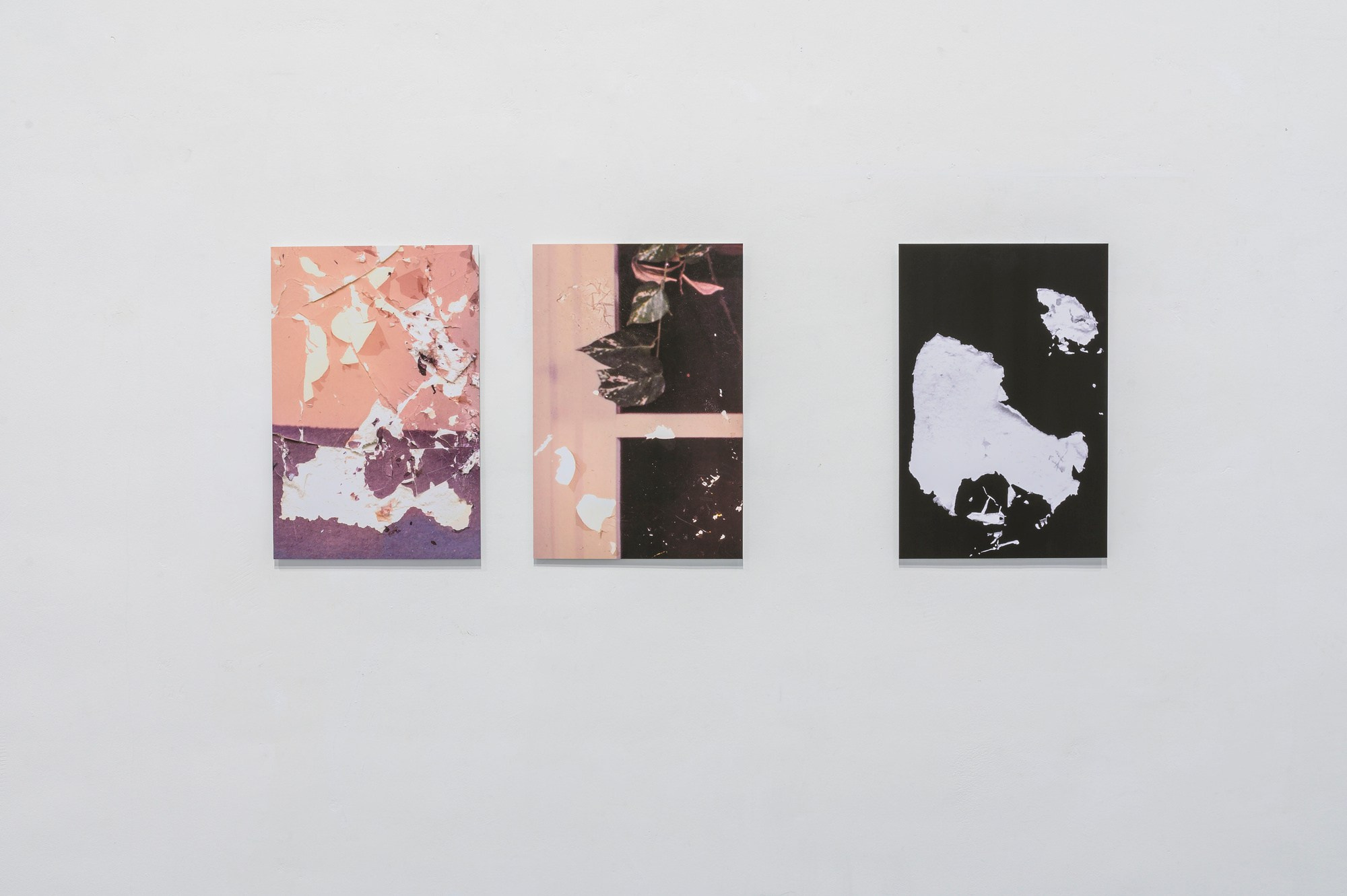 Проект Райсана Хамид (Raisan Hameed) «Zer-Störung». Private image