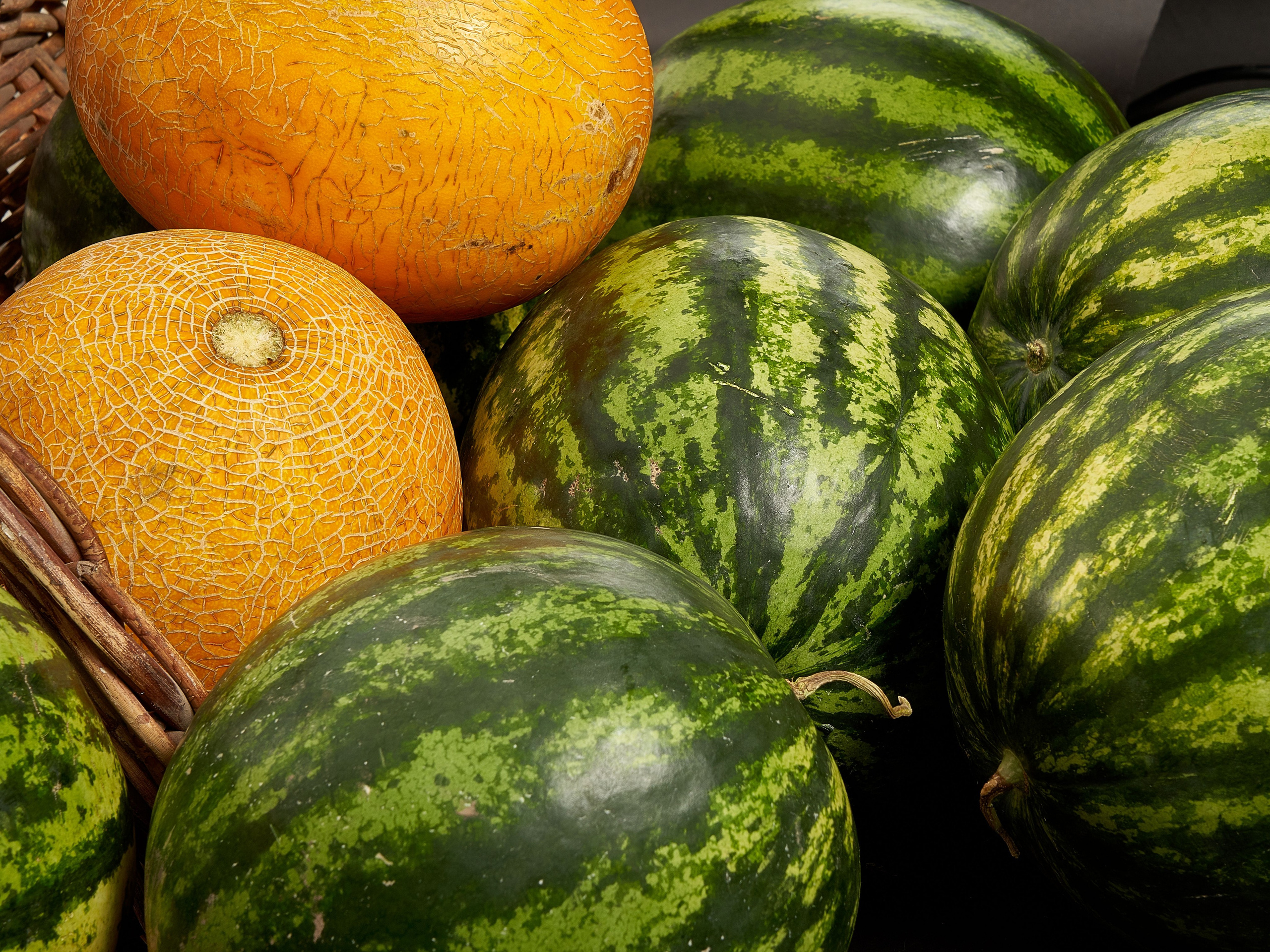 Without PROCESSING. Max Matvich and Victoria Basova are professionals in their field