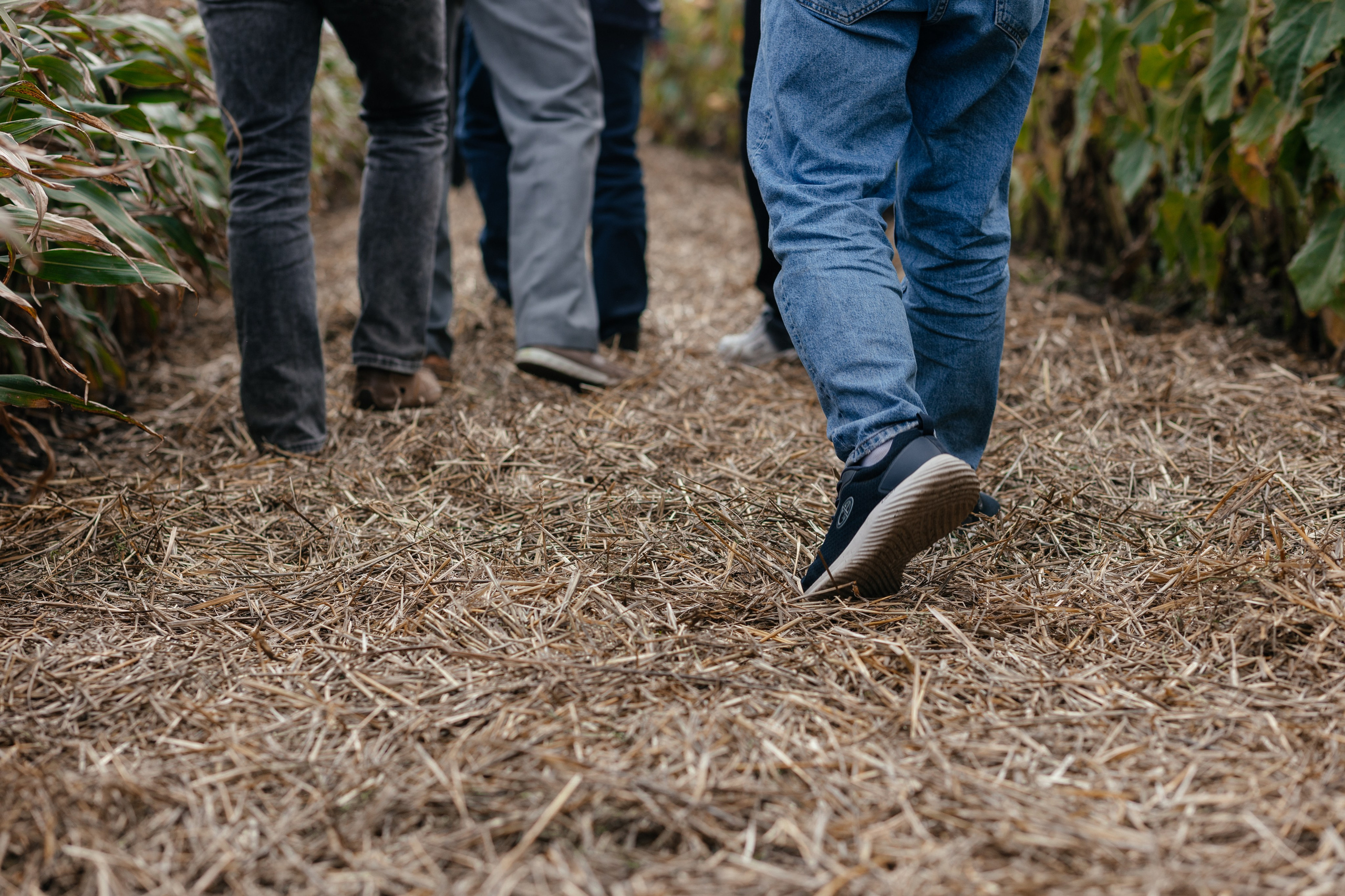 День поля. Фотограф Крохин Олег