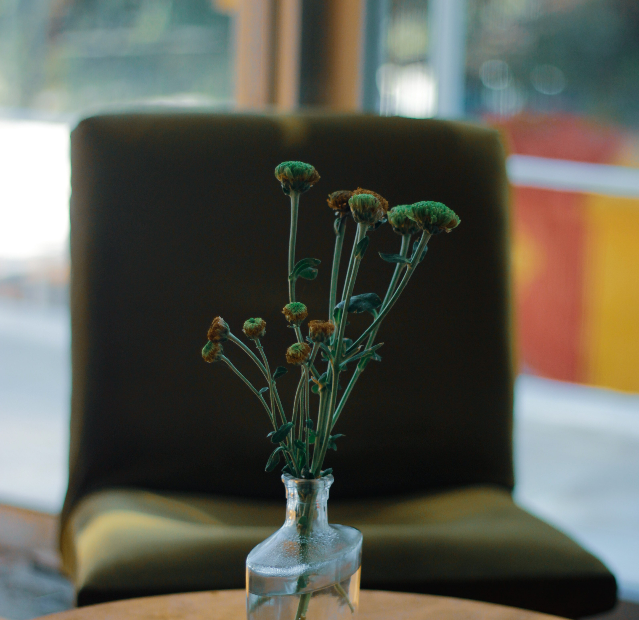 A republic that exists. Documentary photographer