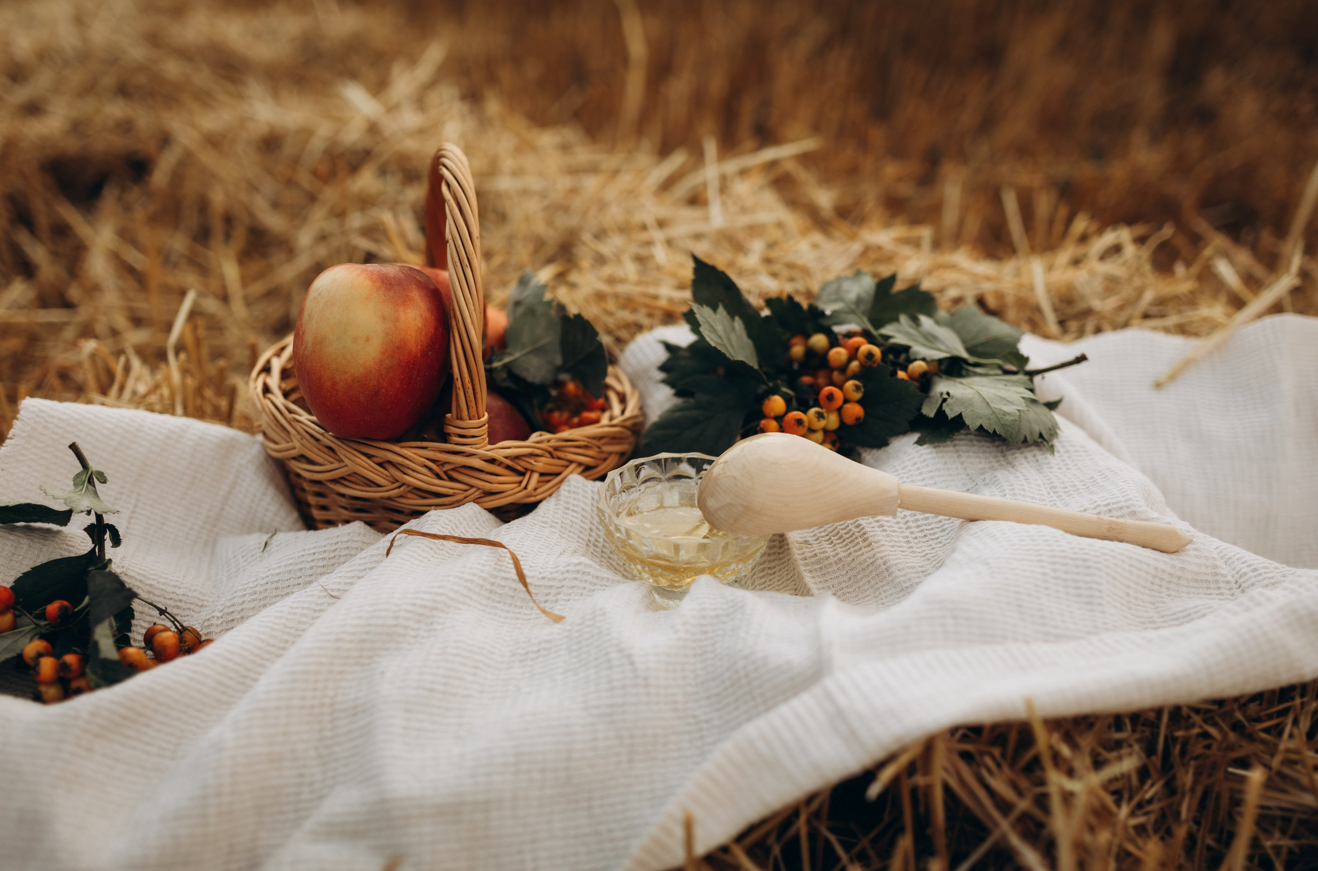 Анфиса. Фотограф Юлия Хакимова / Казань/ Чистополь