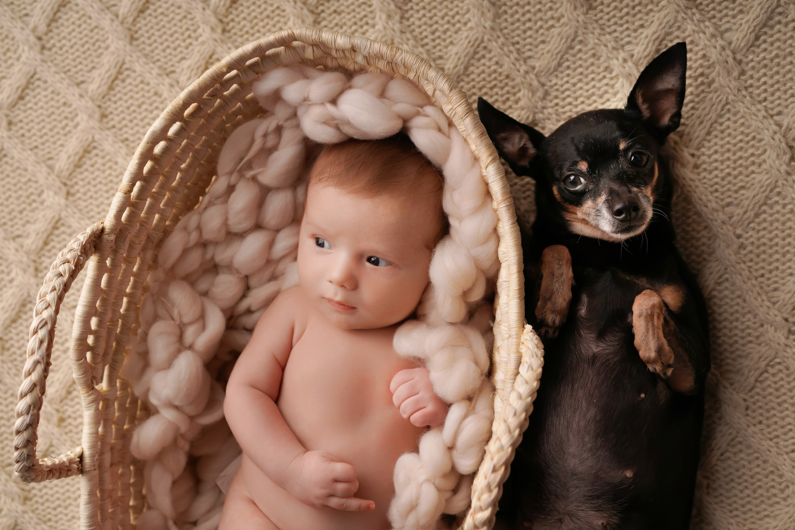 Фотосессия новорожденного с собакой. Фотограф новорожденных беременных в Тюмени Ткачук Татьяна