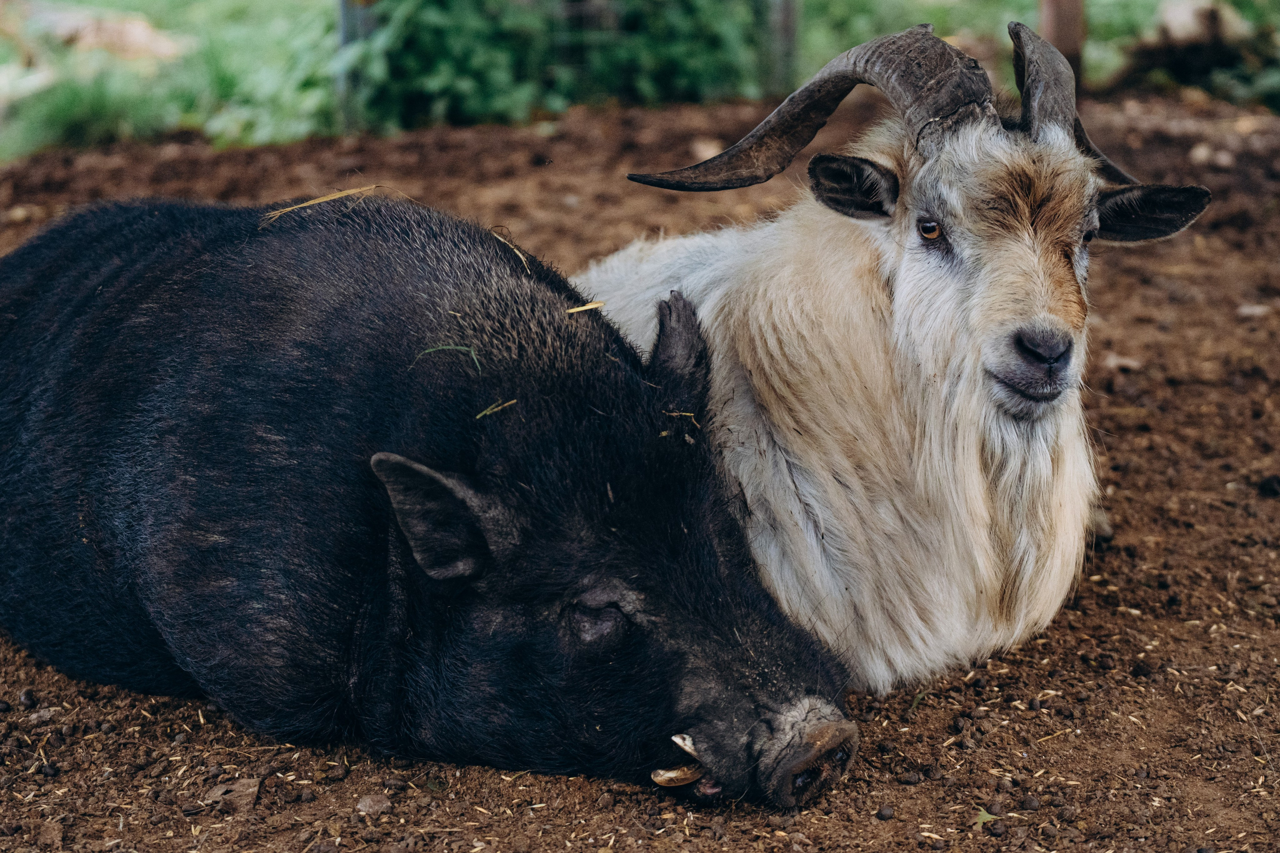 СЕВЕР. Event фотограф Степанова Александра