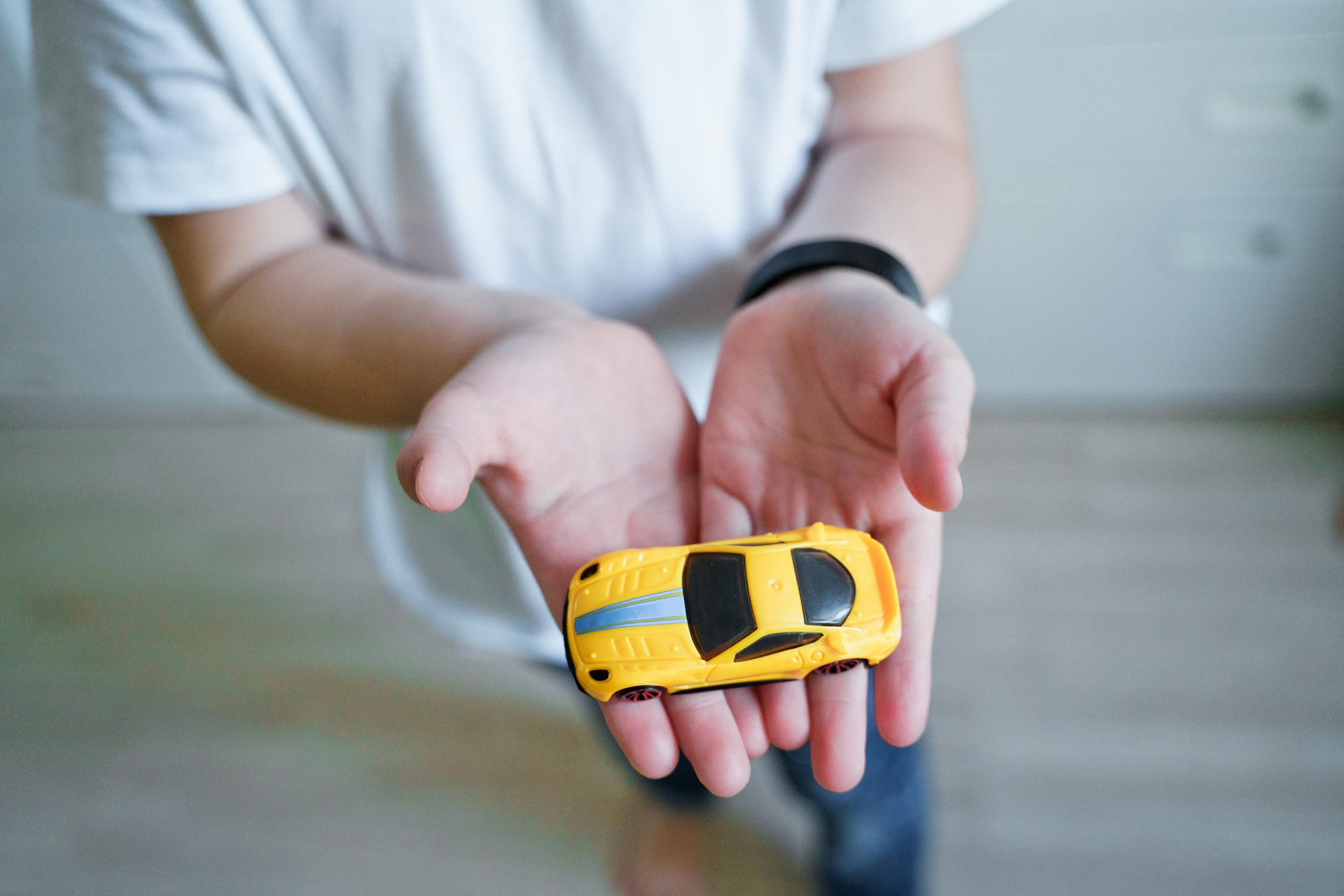 Вова, Вероника + 2. Главная