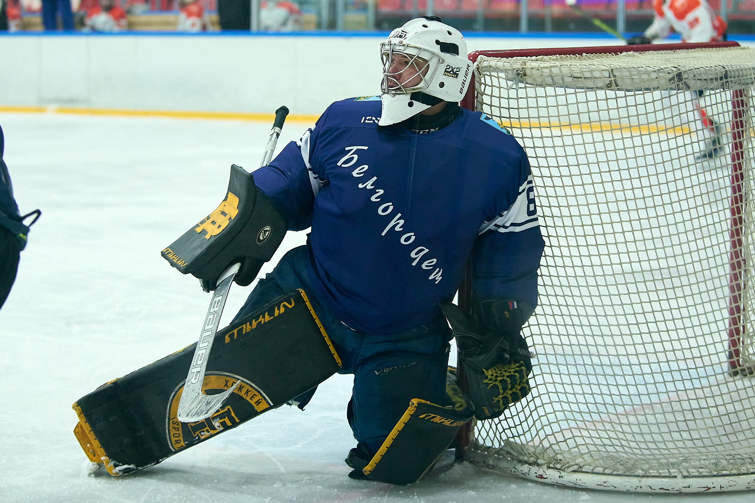 Хоккейная история