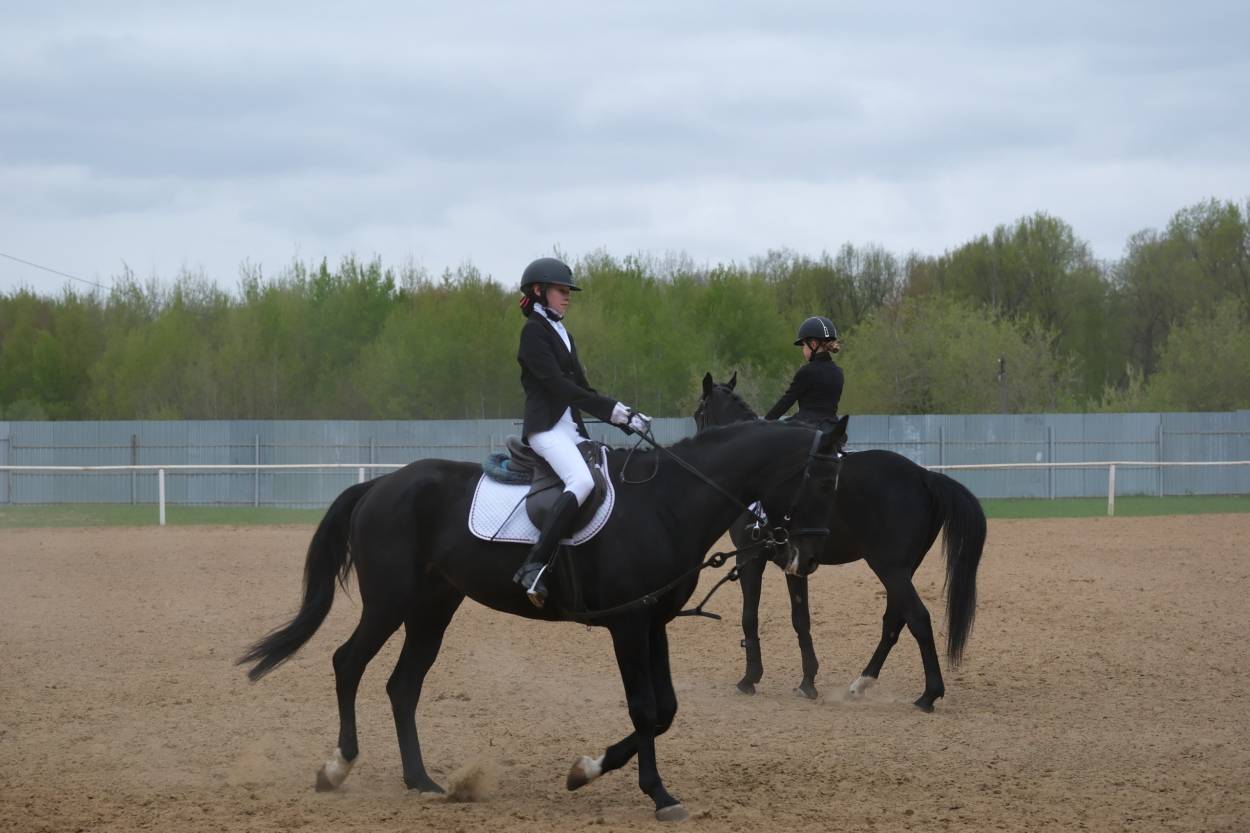 Соревнования по конному спорту в КСК «АЛЛЮР»!. Добро пожаловать в студию «Цифровой скульптор»  где искусство встречается с технологиями!