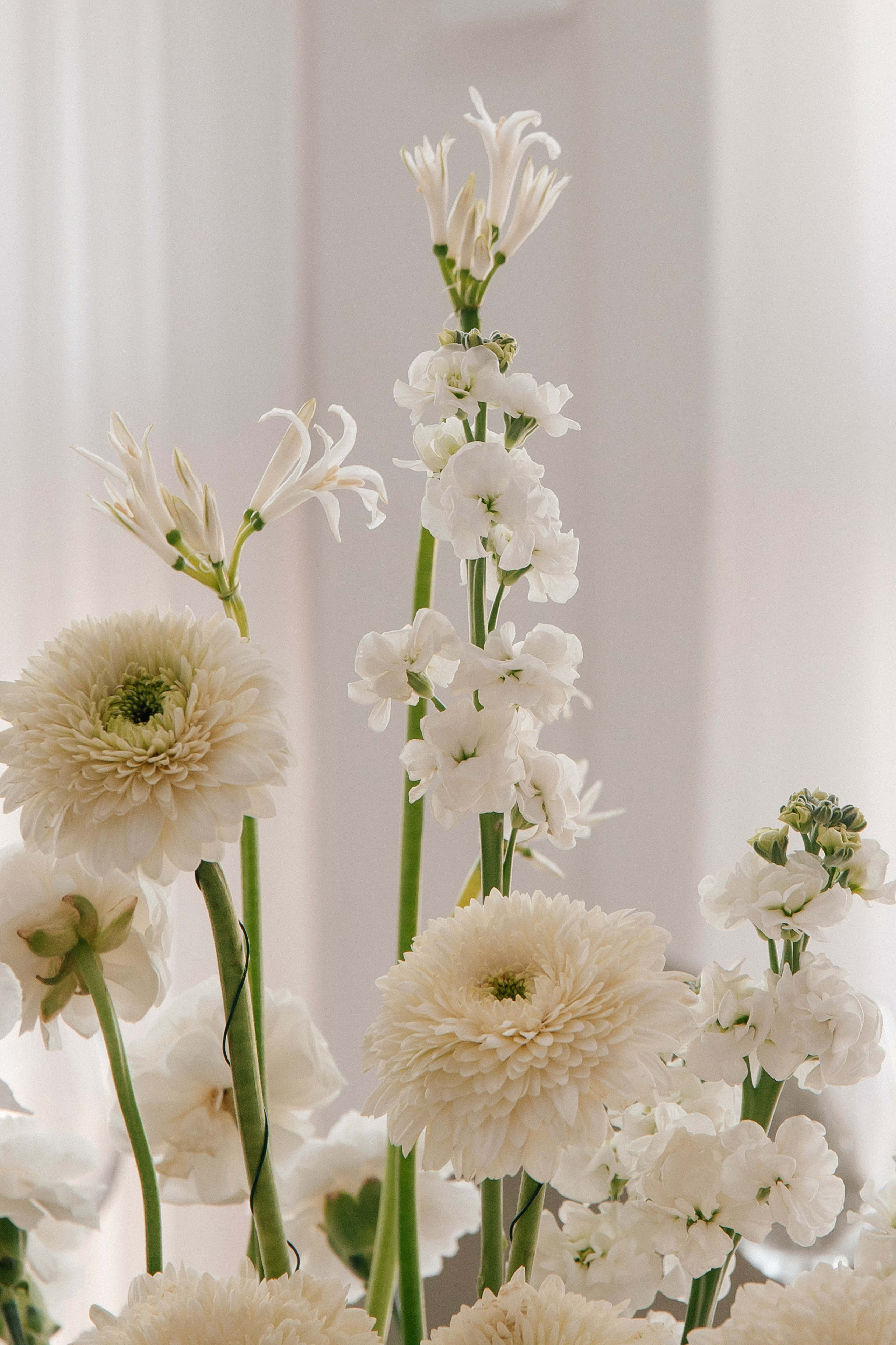 ANONS. Мария — Свадебный фотограф