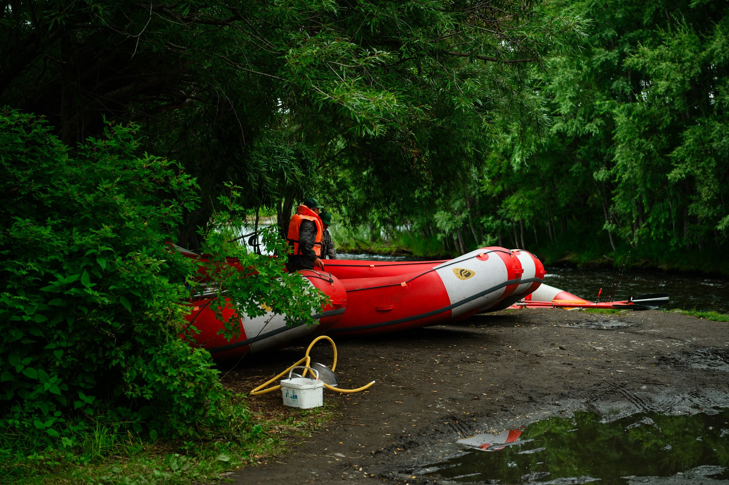 Камчатка 08.2024. Фотограф Марина Росси