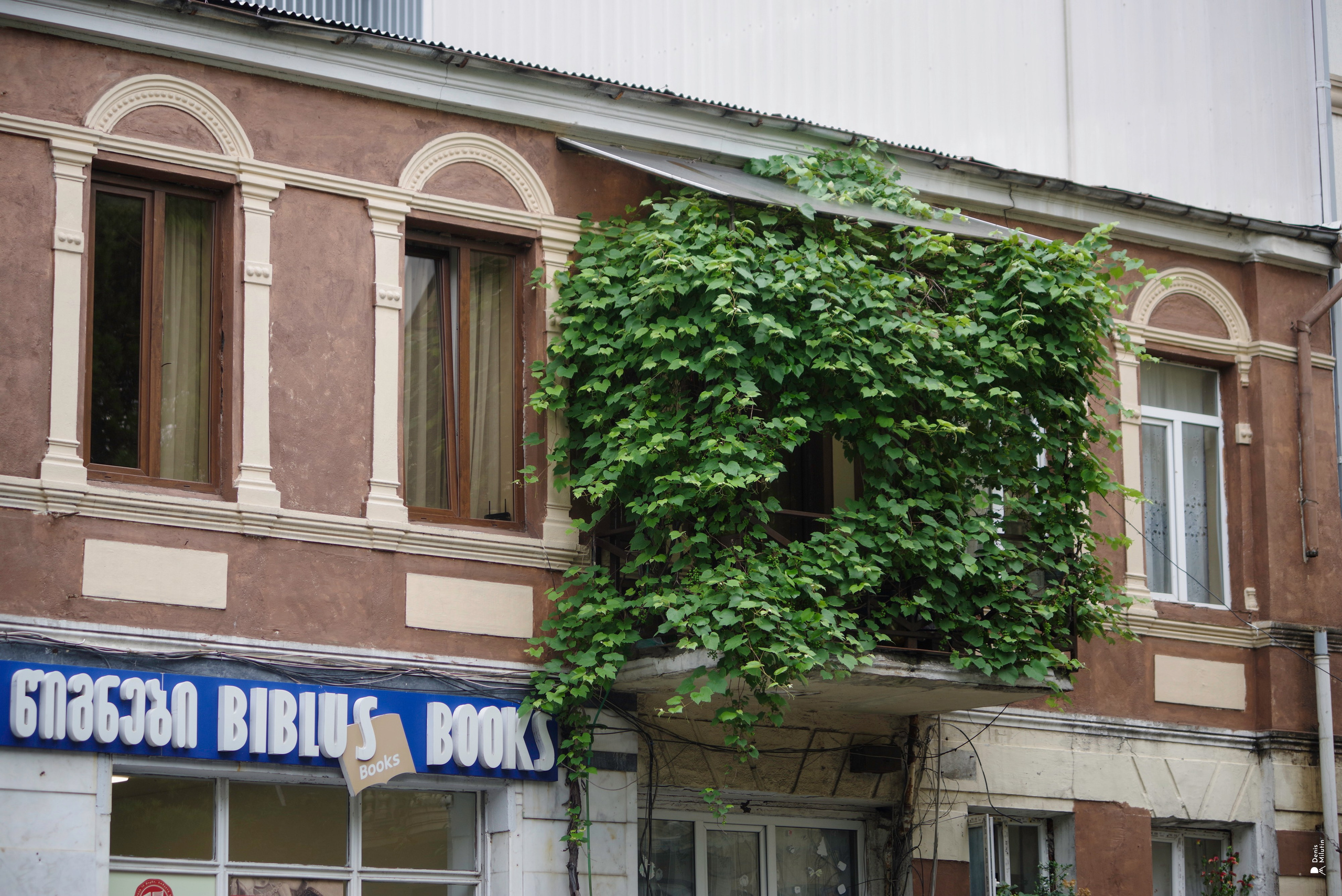 В отпуске с Артёмом. Портретный фотограф Денис Милютин