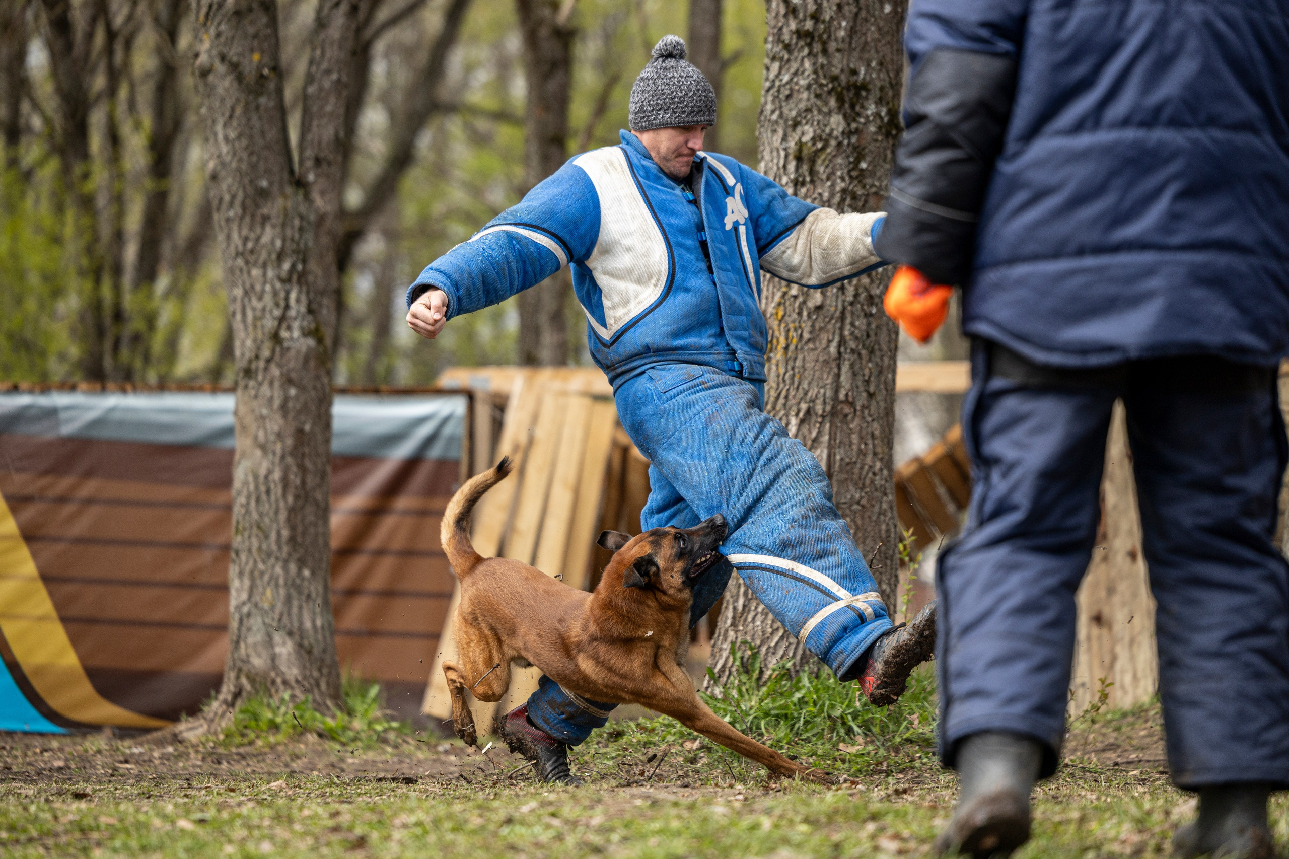 Квалификационные состязания по мондьорингу г. Вологда 11.05.24. Фотограф-анималист Анна Маринич