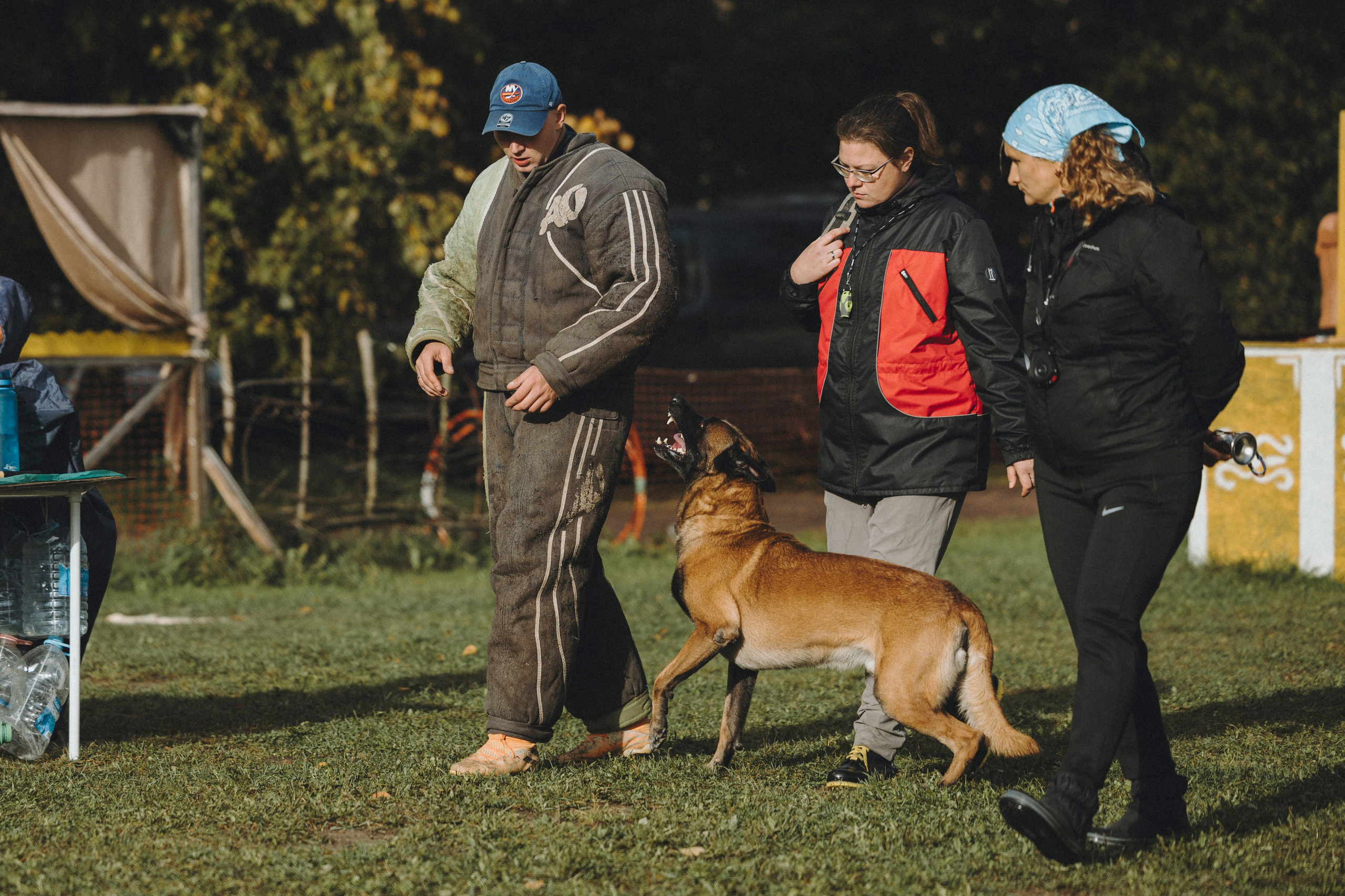 Испытания по мондьорингу г. Пушкин 29.09.2024. Фотограф-анималист Анна Маринич