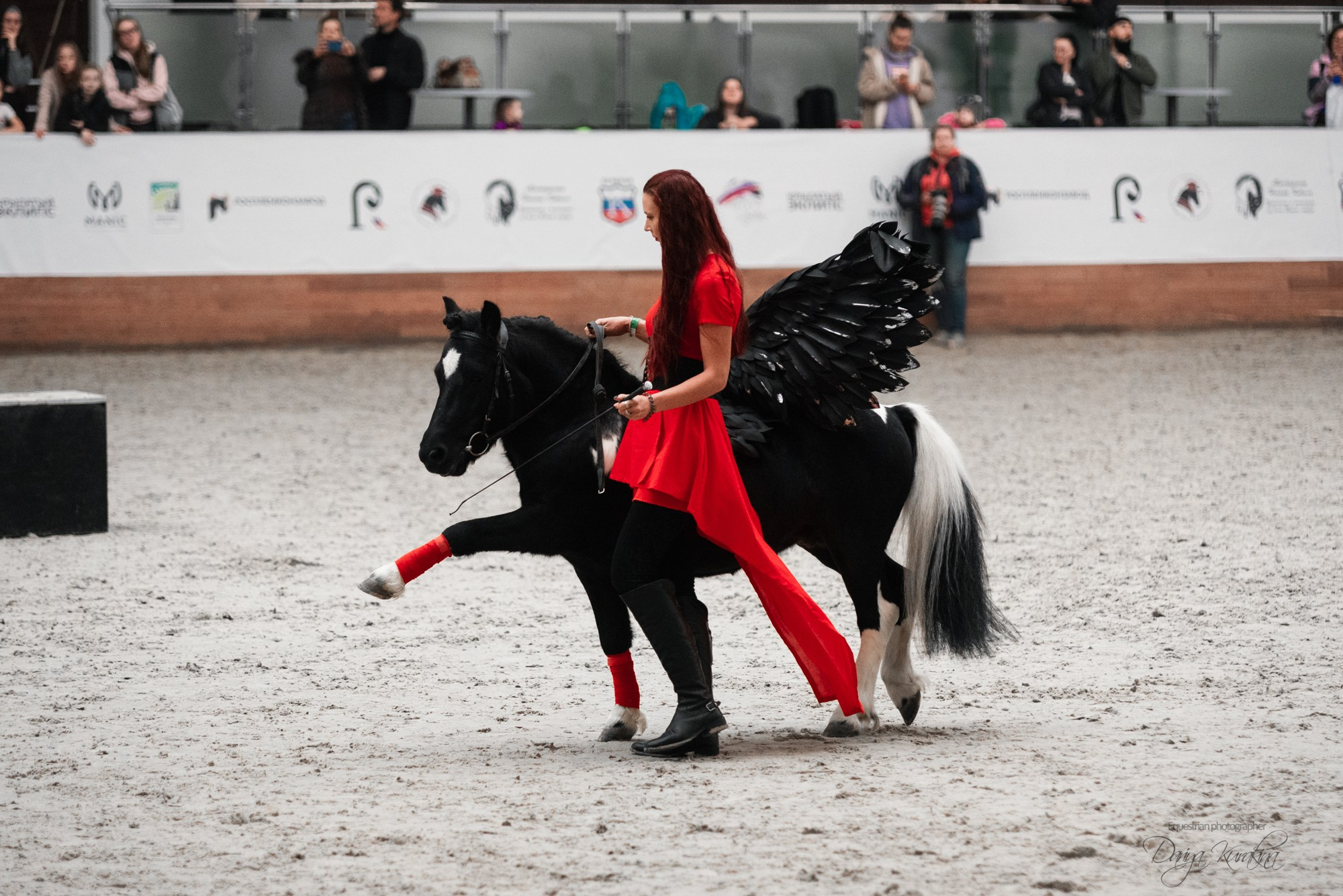 8-я международная выставка Конная Россия. Конный фотограф Куракина Дарья • Фотосессии с лошадьми