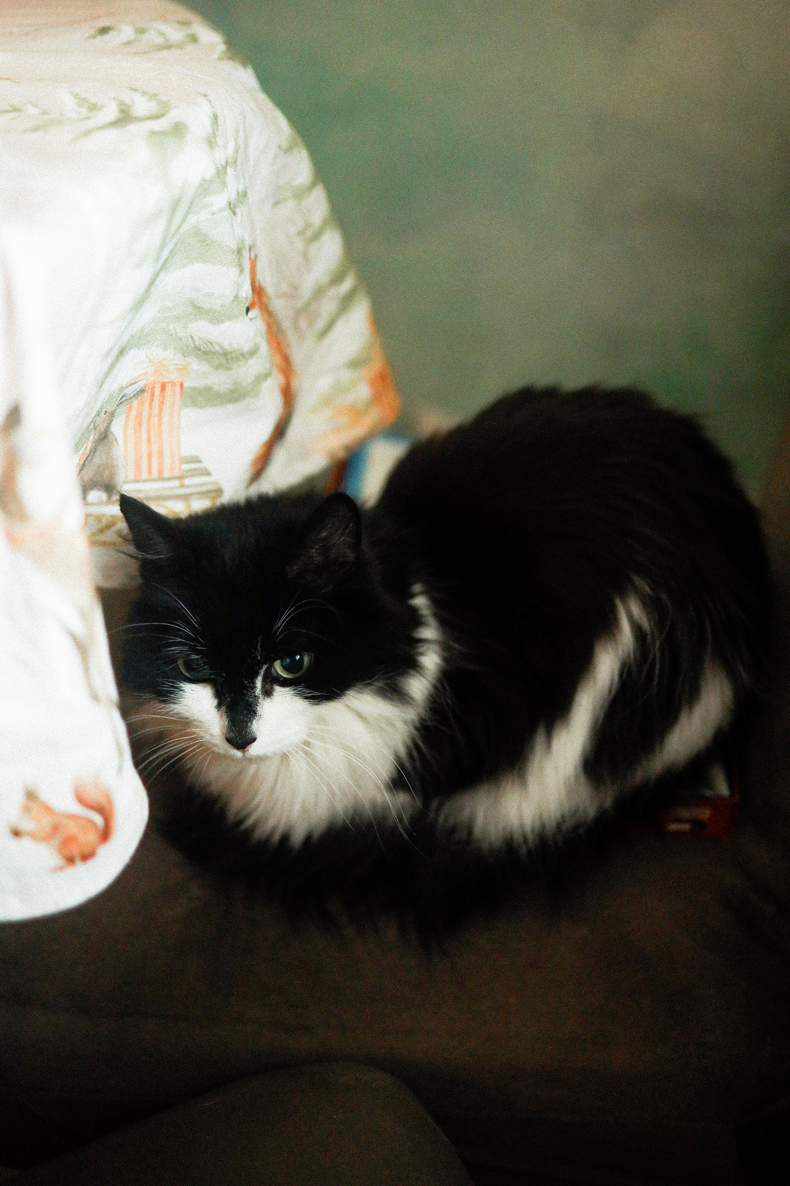 Домашний репортаж. Семейный фотограф в Тюмени | Алёна Снопкова