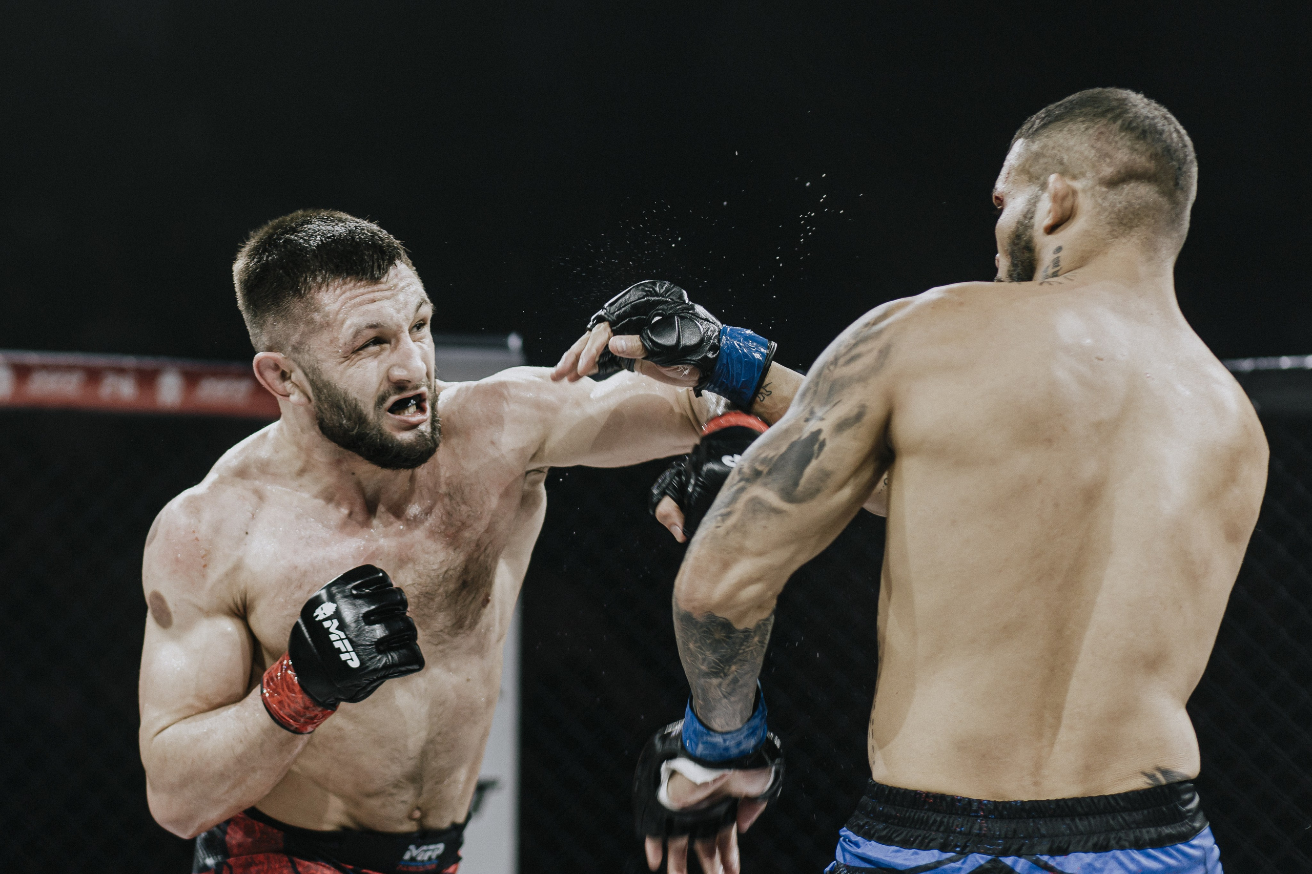 MFP246 МАКСИМ БУТОРИН VS МАРСИО БРЕНО. Фотограф Иркутск Антипин Сергей