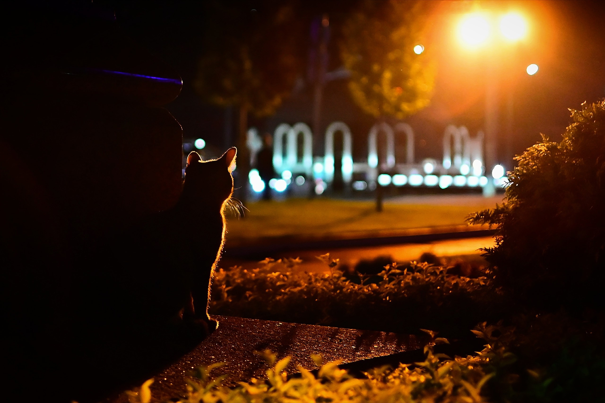 Фотограф в Ярославле Владимир Летуновский