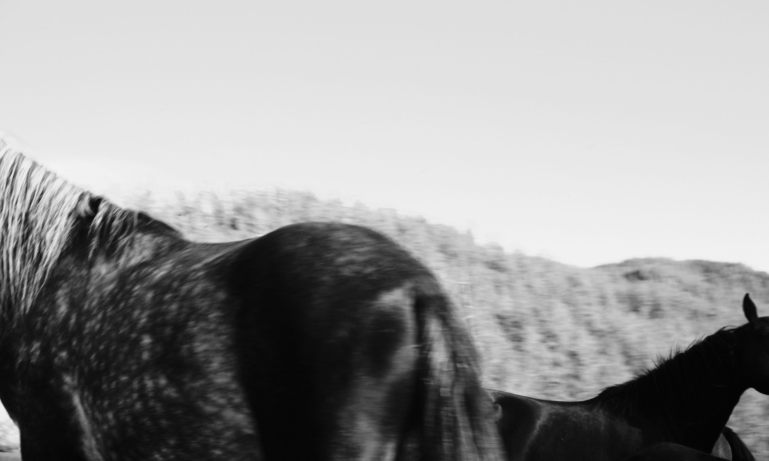 «50.005 659, 85.831 007». Izma photos