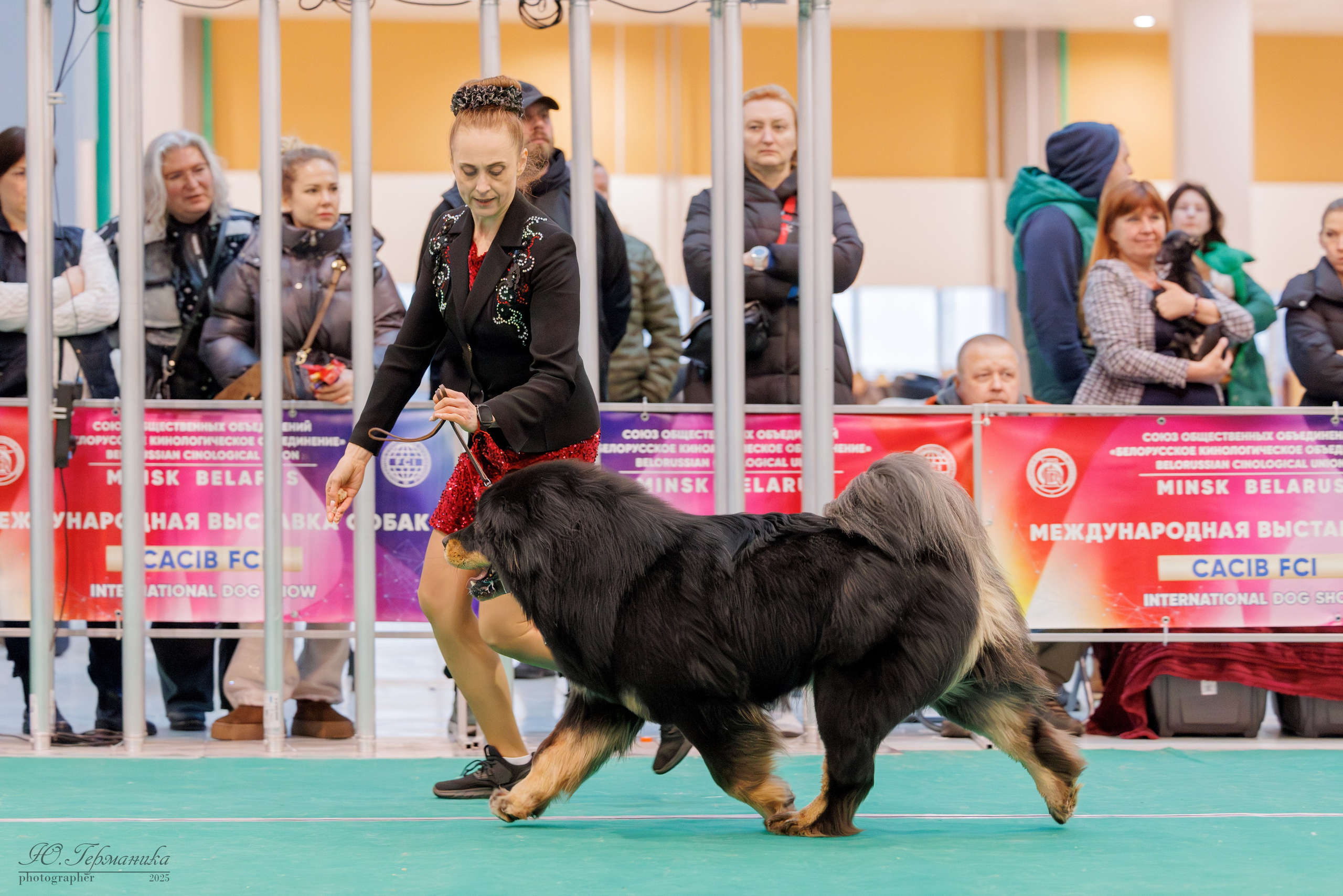 Минск 1-2.03.2025. Фотограф-анималист Юлия Германика
