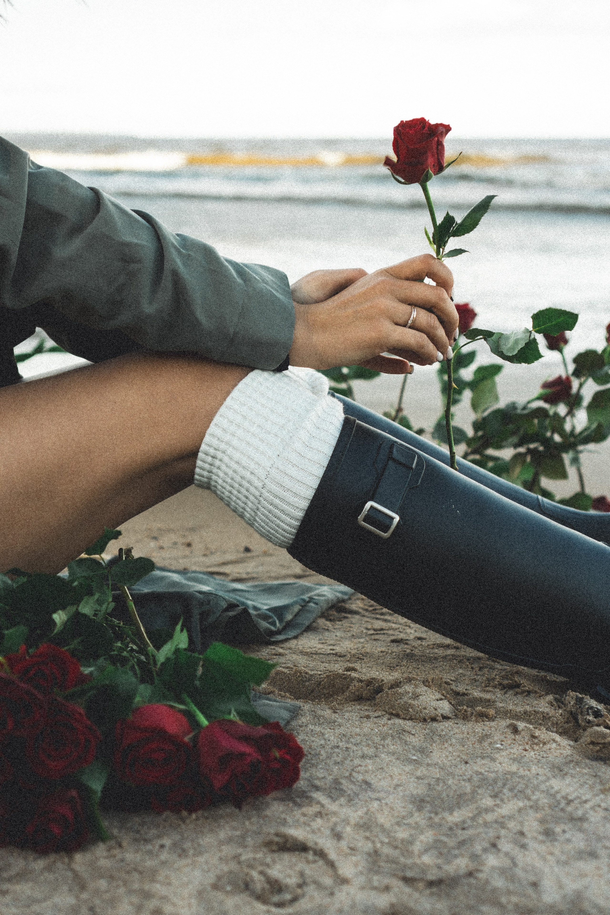 Розы. Профессиональный фотограф, Санкт-Петербург — Виктория Богомолова