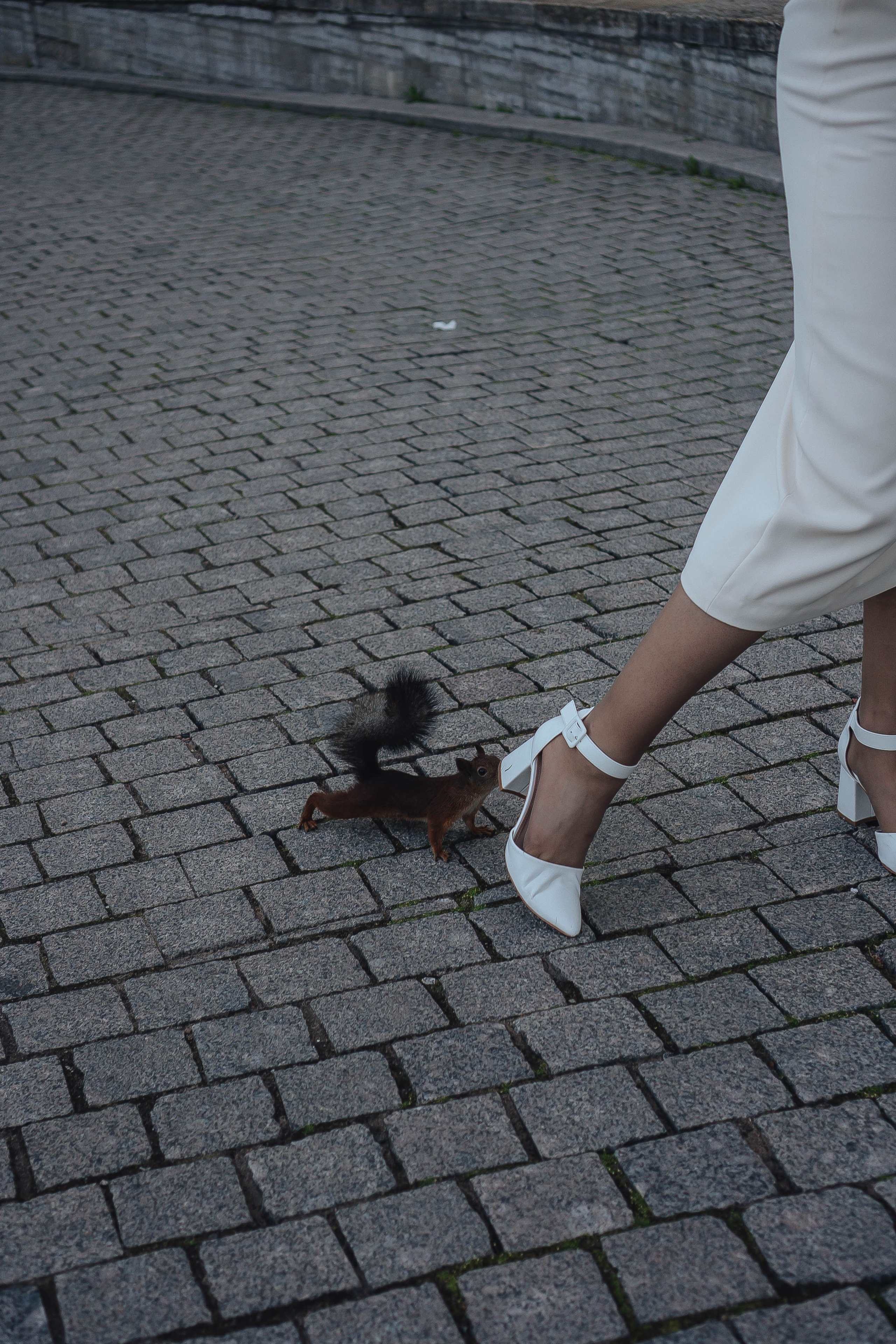 СВАДЕБНАЯ СЬЕМКА НА РАССВЕТЕ НА ЕЛАГИНОМ ОСТОРОВЕ. Профессиональный фотограф, Санкт-Петербург — Виктория Богомолова