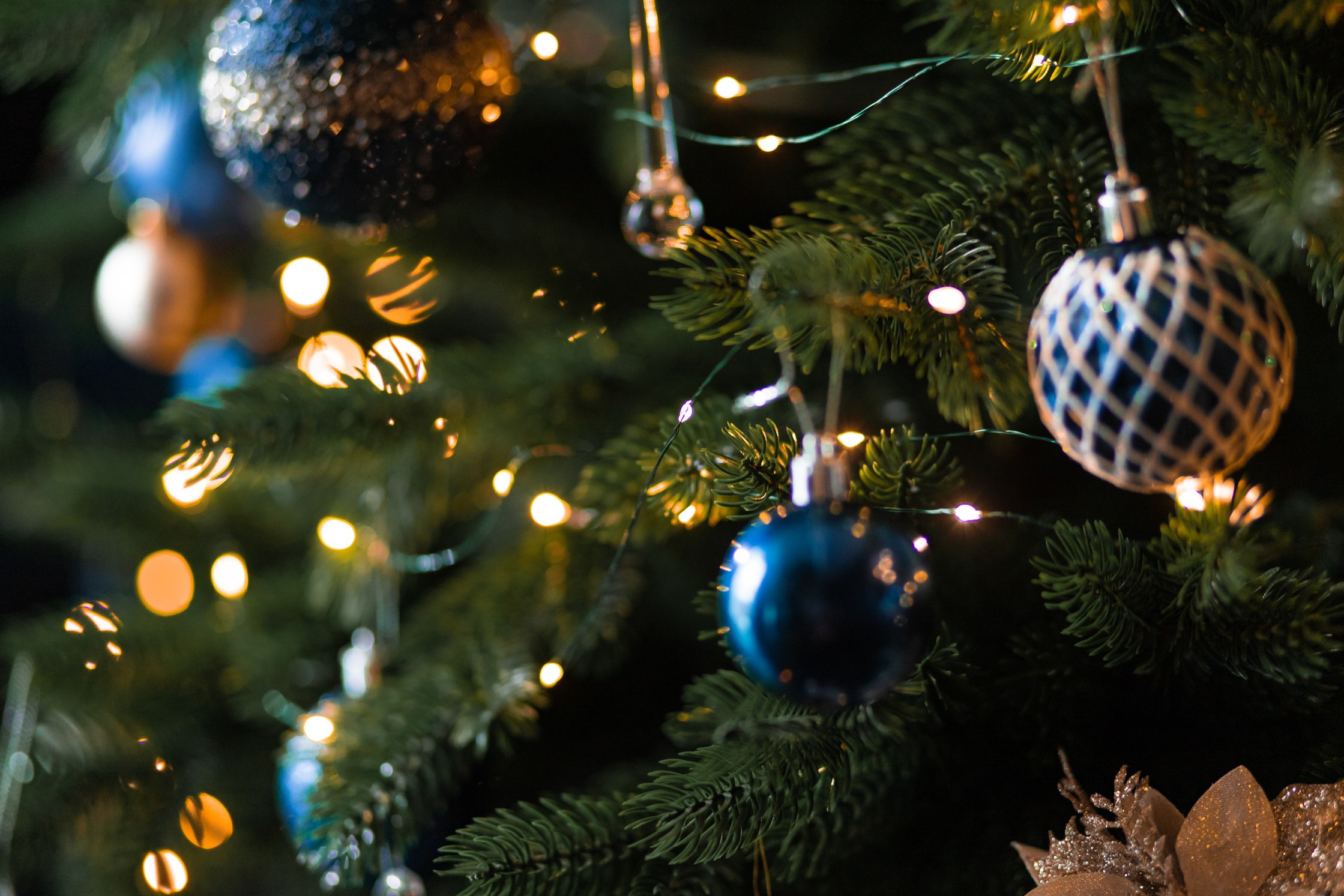 Марина и Егорушка. Фотограф Белгород