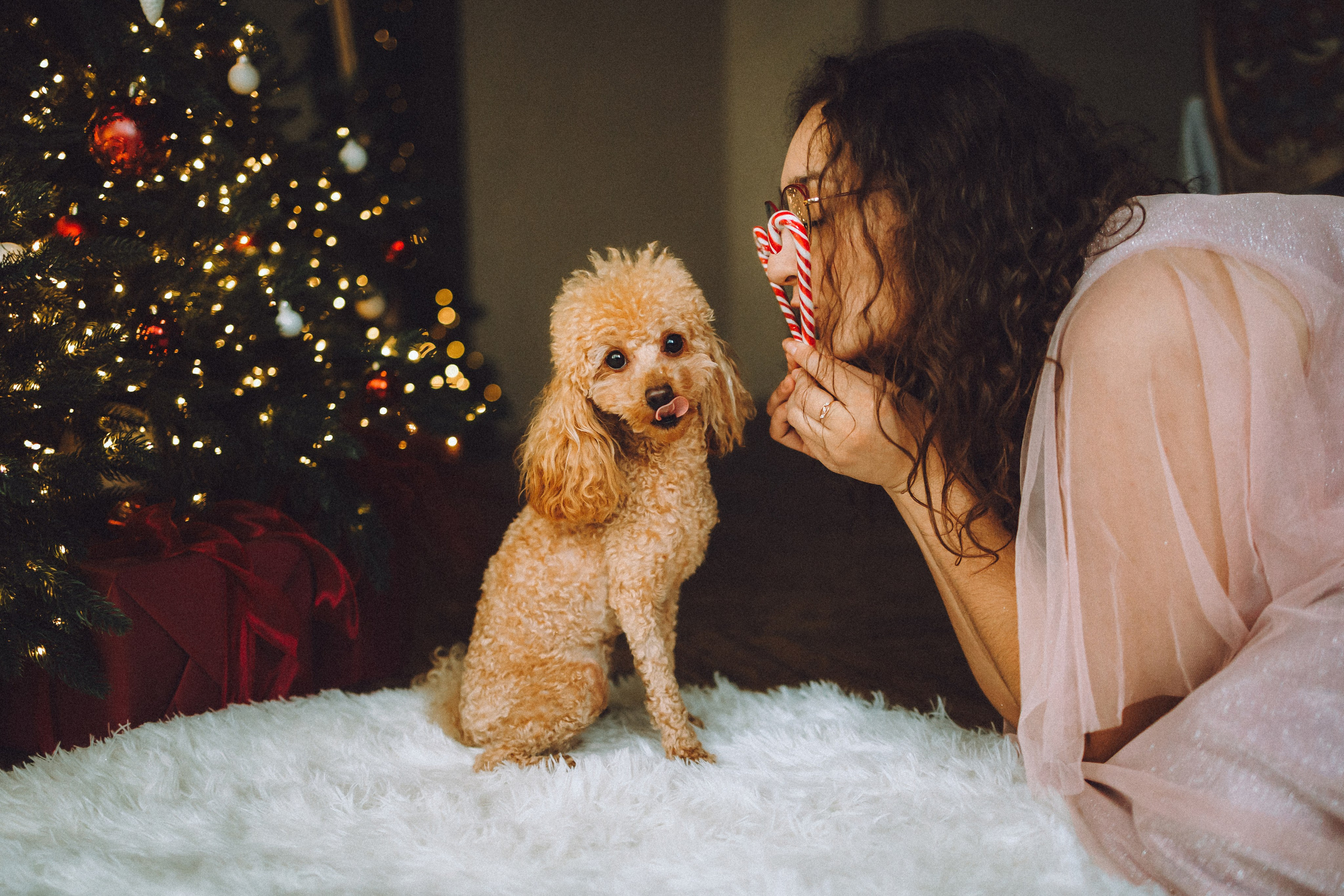 Джули, Шелли и их семья