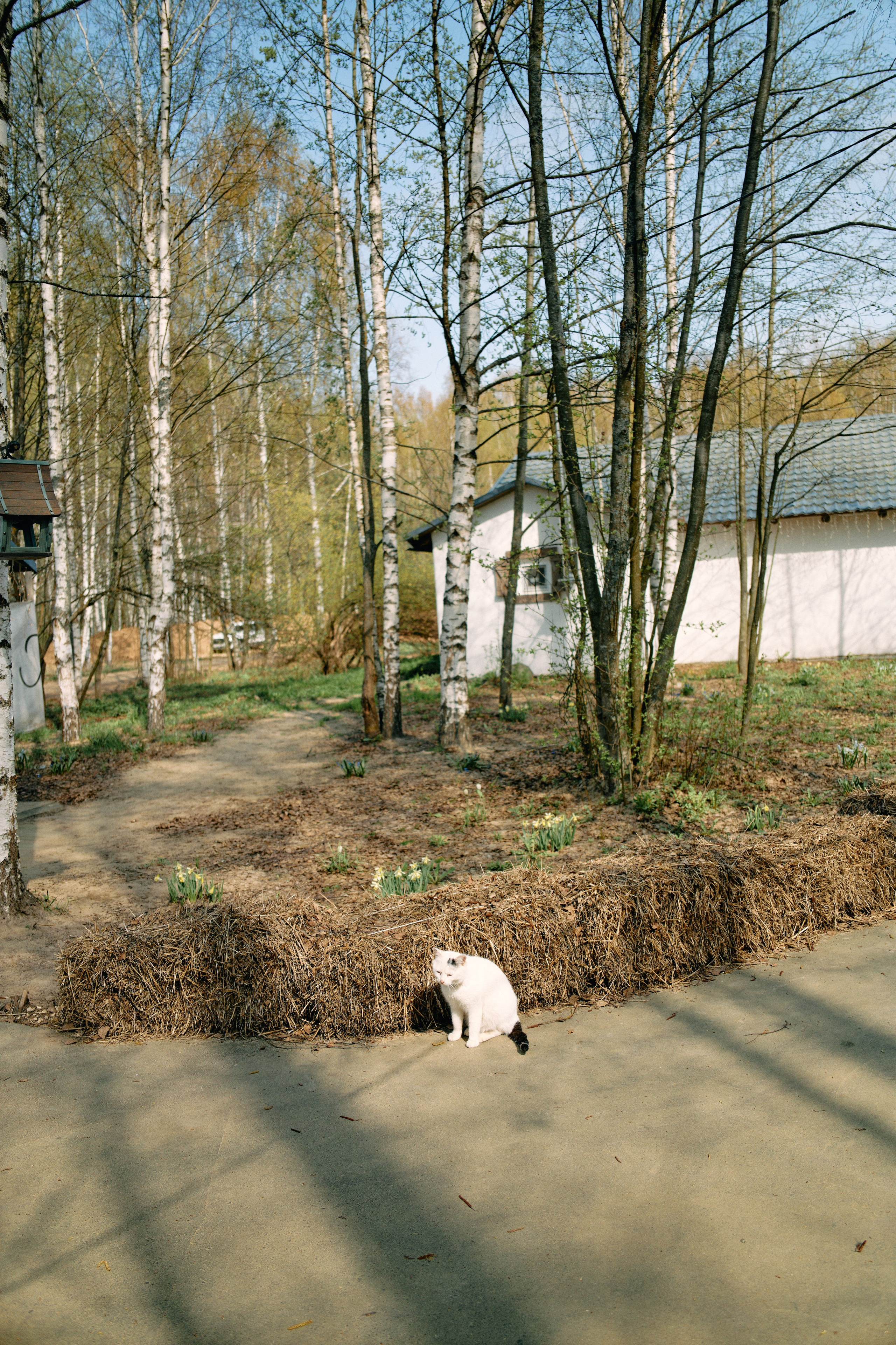 Бутик-отель Поле летом. Профессиональный Фотограф во Владимире, в Москве и в Суздале — Полина Романычева