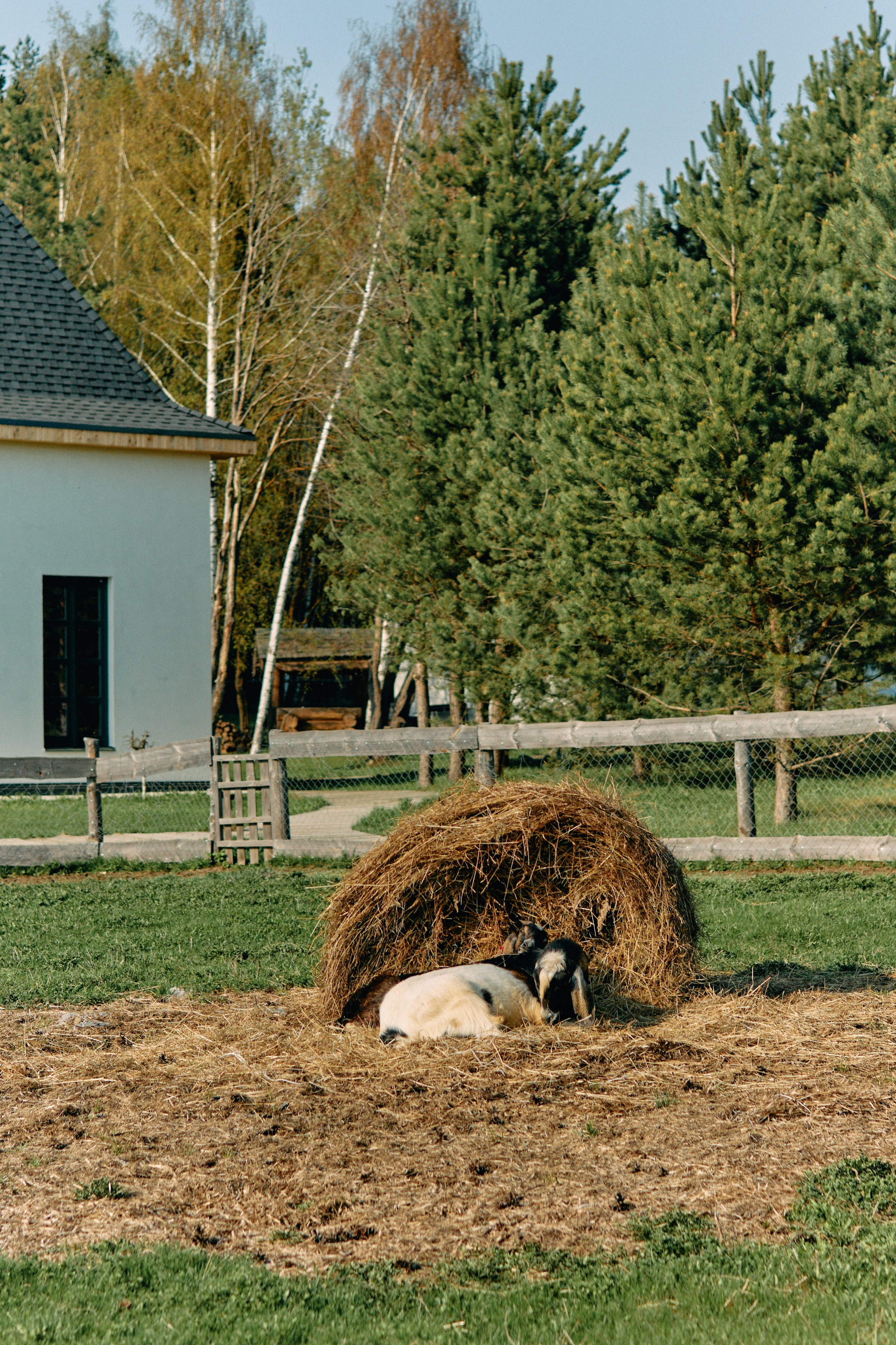 Бутик-отель Поле летом. Профессиональный Фотограф во Владимире, в Москве и в Суздале — Полина Романычева