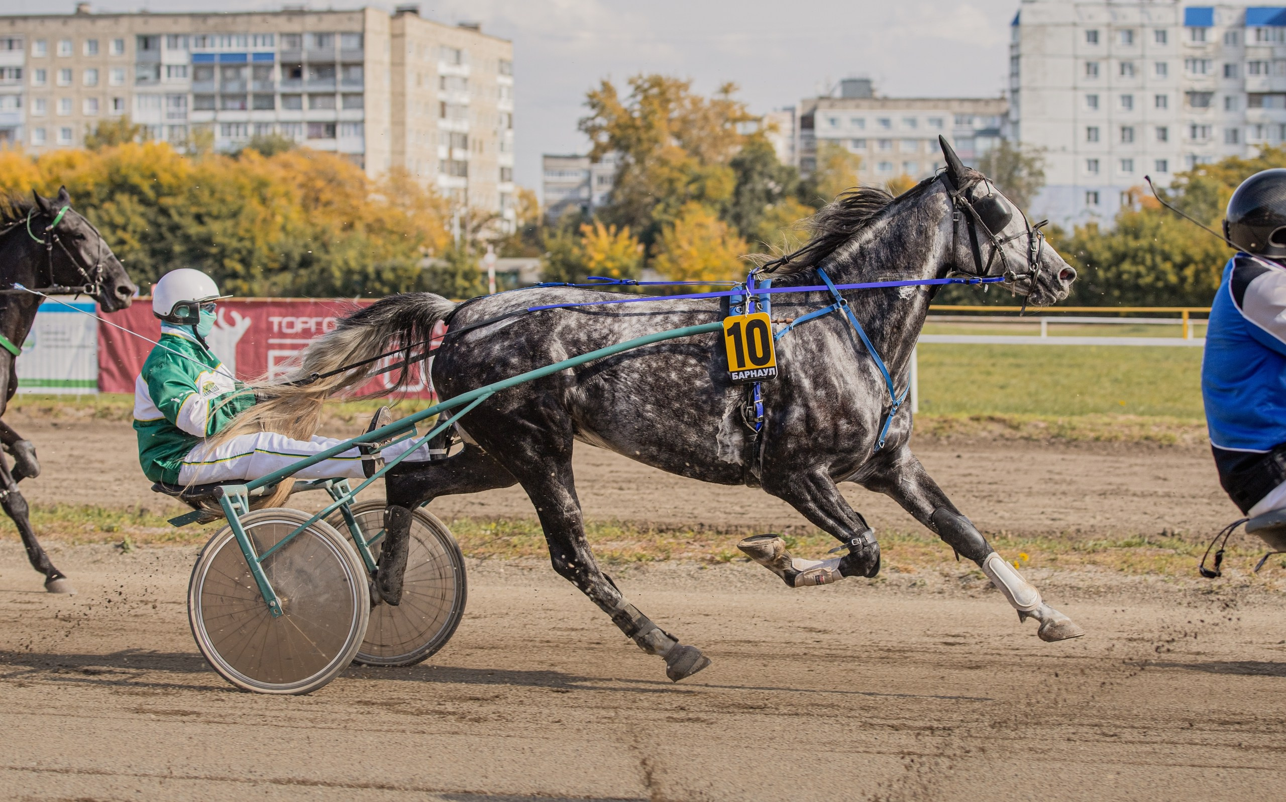 Рысистые бега. Главная