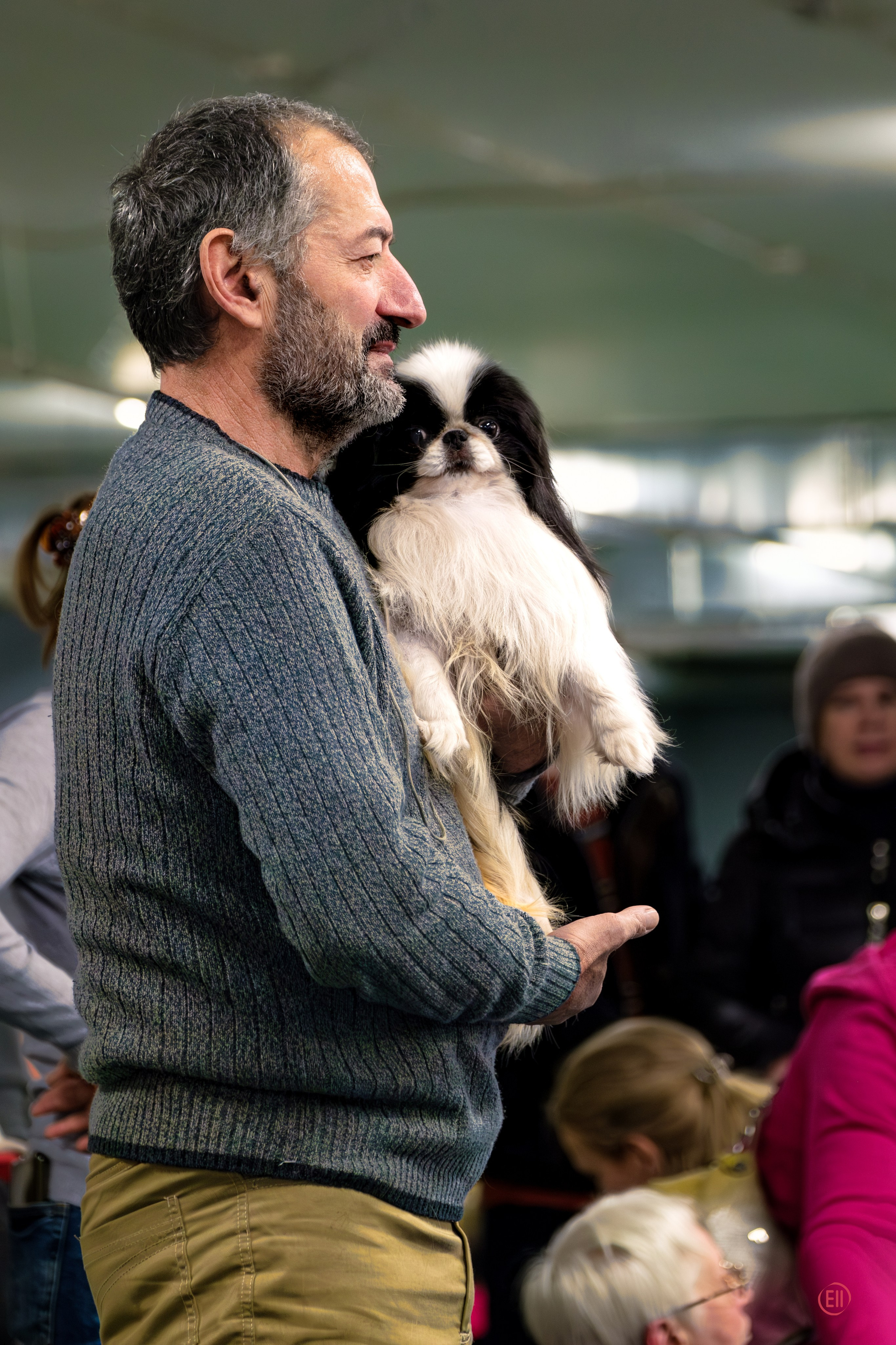 Выставка собак. Сфера. 17.12.2023. Фотограф в Москве