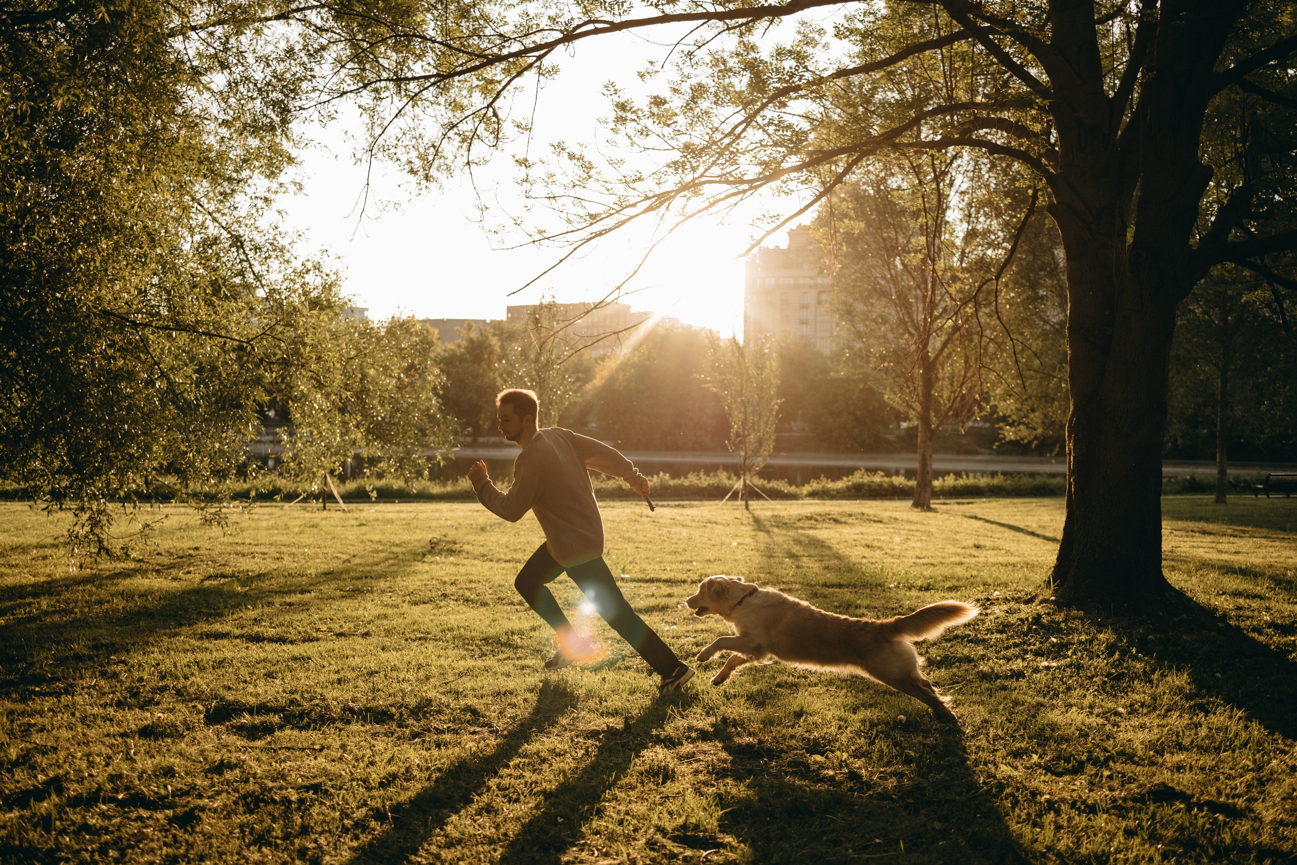 Пенни и ребята. Фотограф — Анималист | Санкт-Петербург