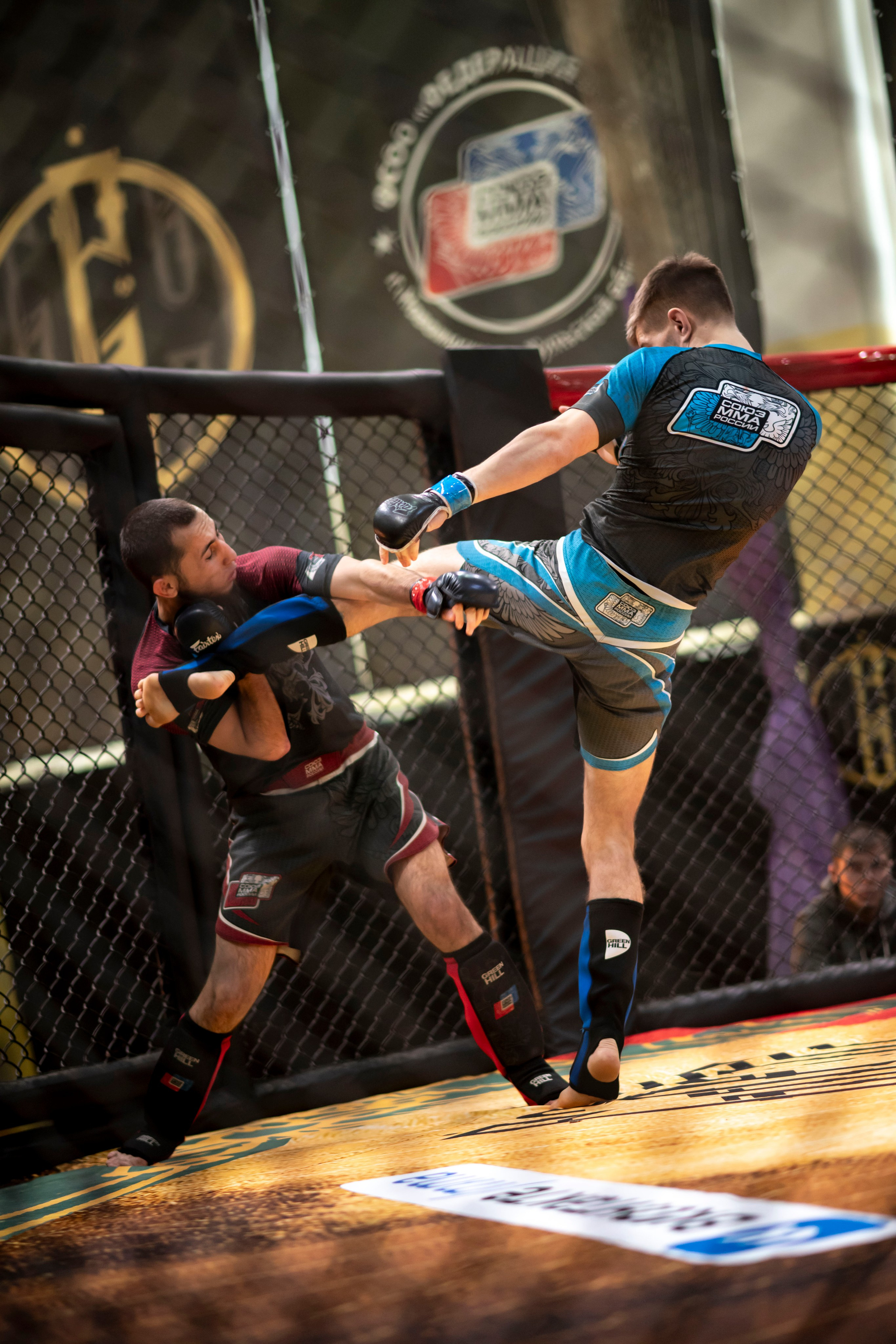 Всероссийский турнир ММА. Новомосковск, ноябрь 2025. Спортивный фотограф в Туле и Тульской области. Файсханова Фото Спорт