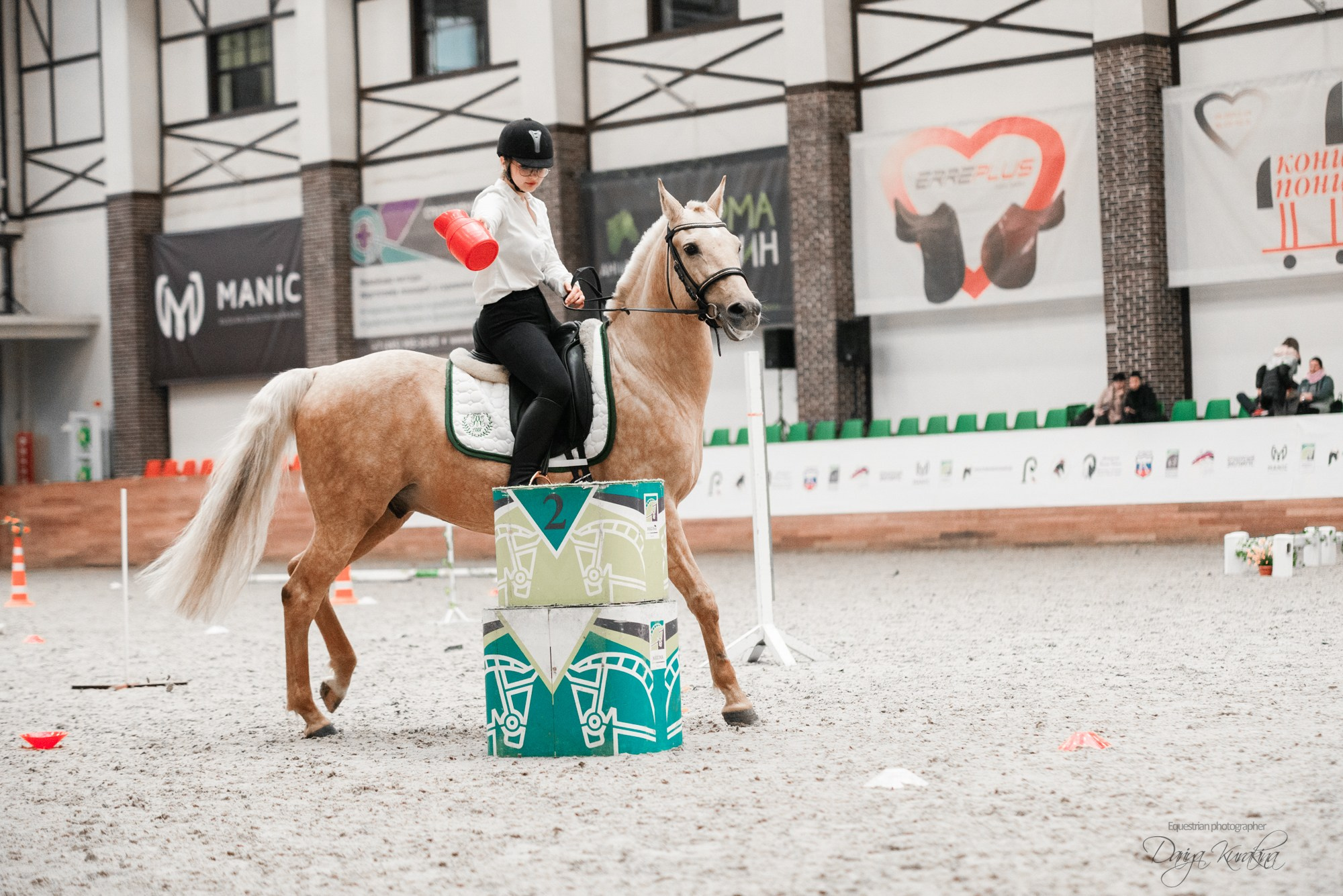 8-я международная выставка Конная Россия. Конный фотограф Куракина Дарья • Фотосессии с лошадьми