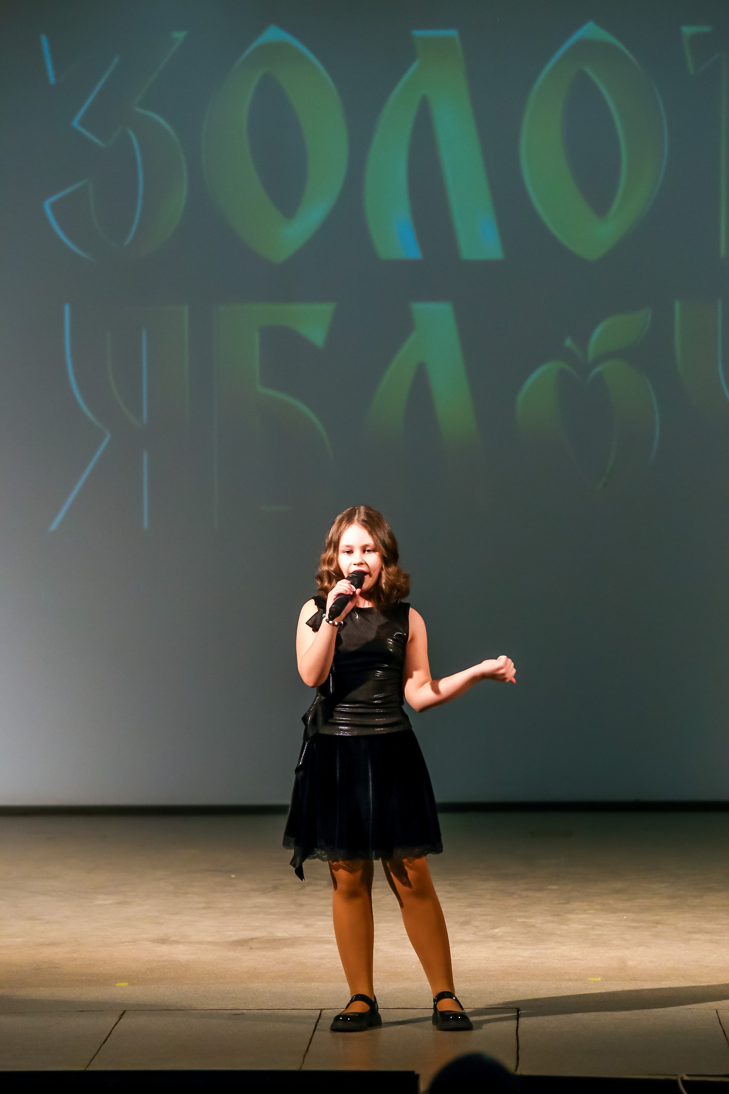 2 марта, г. Владимир. Золотое яблочко