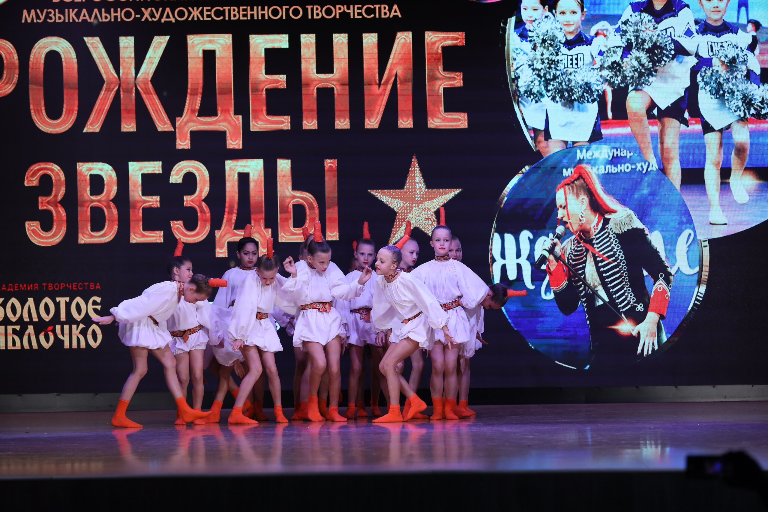 4 ноября, блок 1, видео, номера 1-13, г. Краснодар. Золотое яблочко