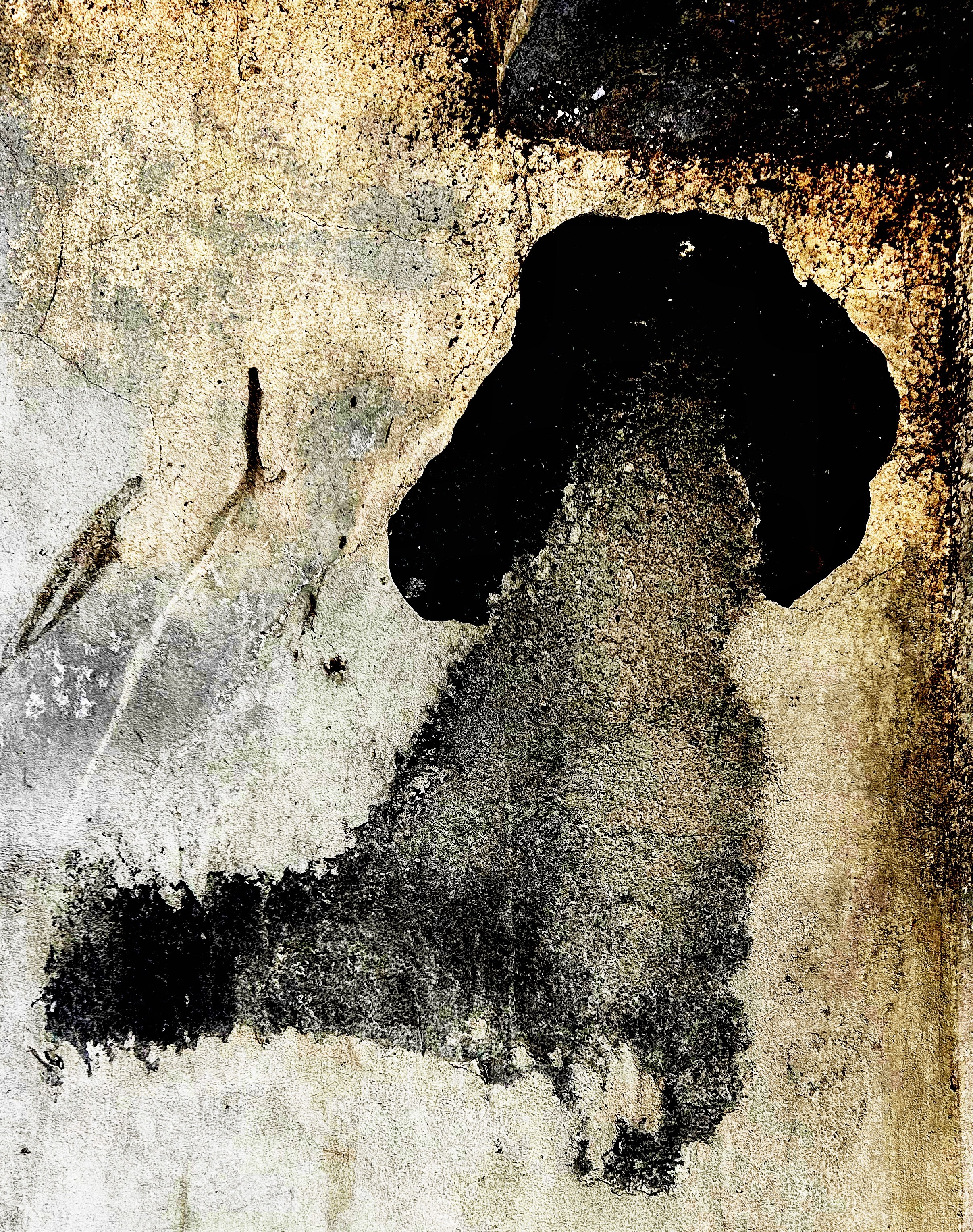 «Вижу». Ольга Пилант. АРТ, бэкстейдж, свадебная и семейная фотография, городской портрет, интерьерная фотография