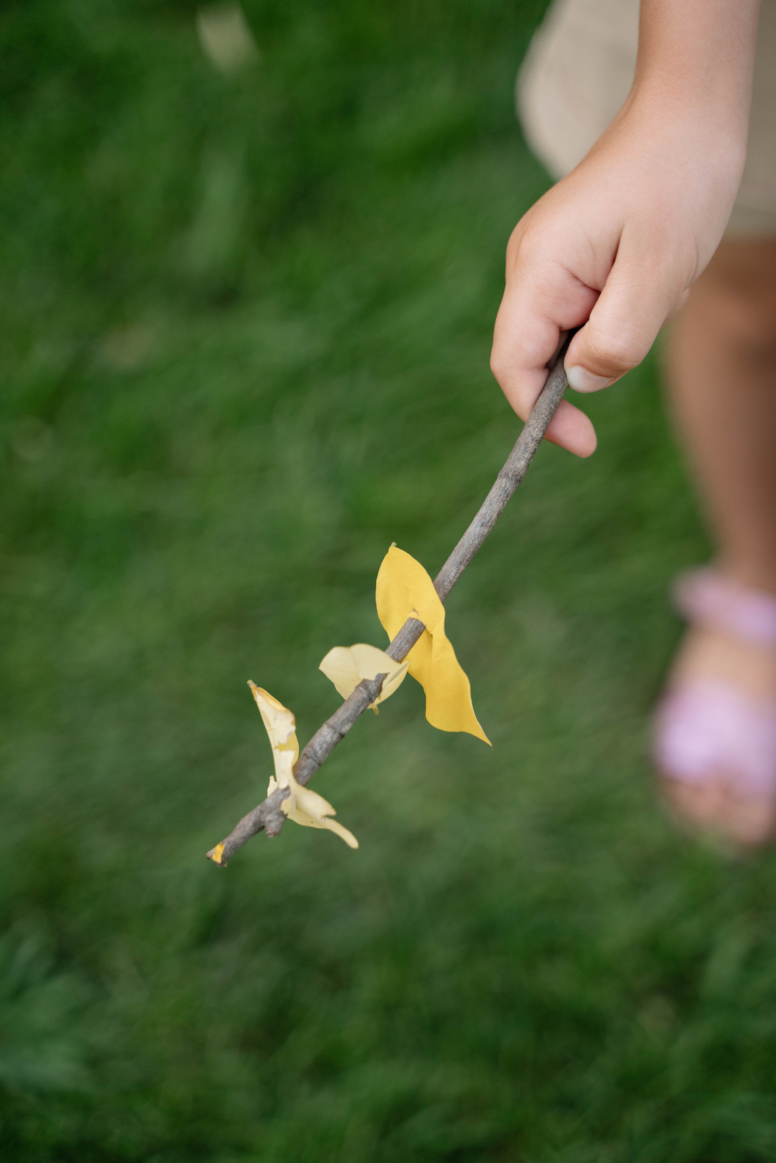 Моменты лета. Свадебный фотограф в Краснодаре и Санкт-Петербурге Евгения Алексеева